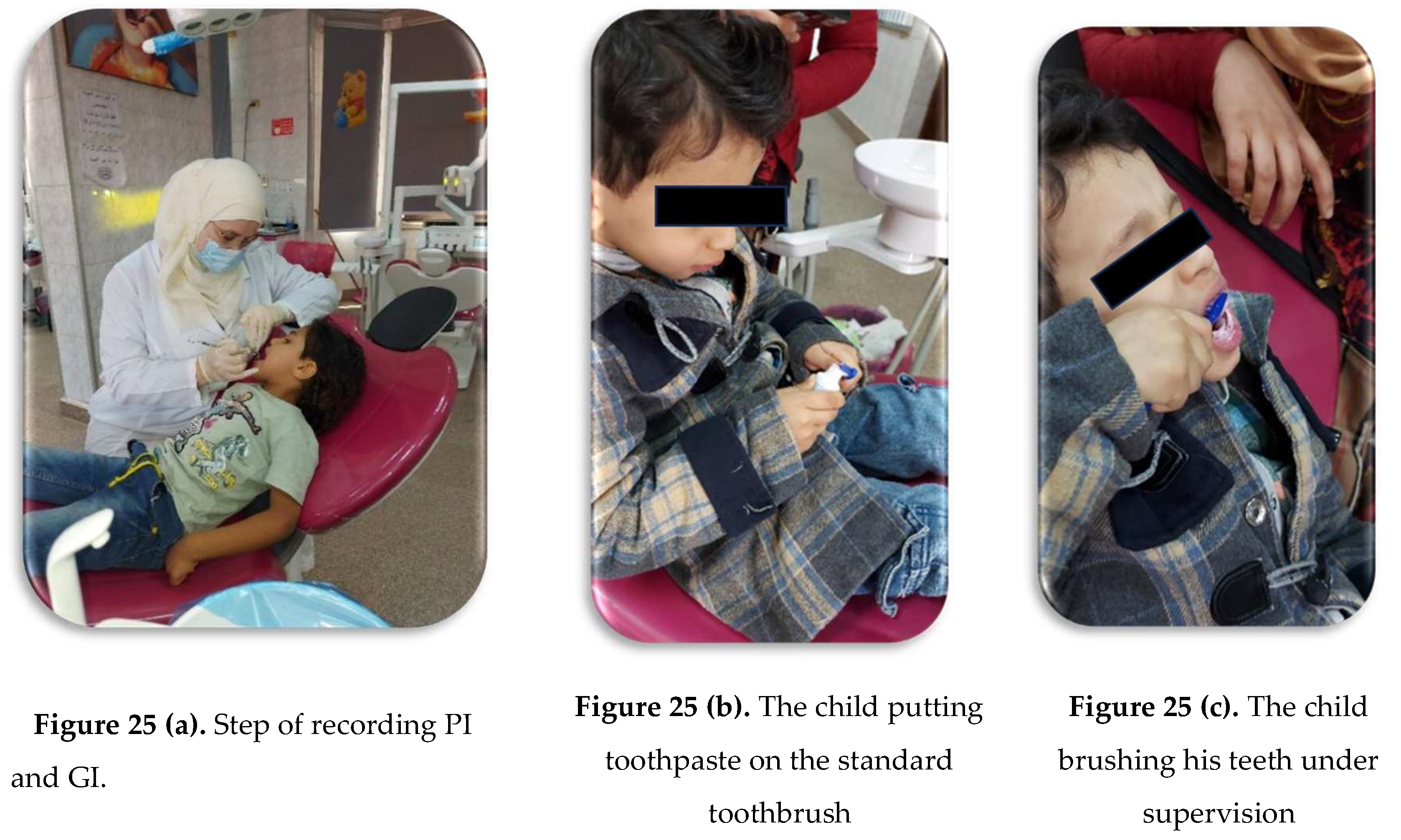 Preprints 146144 g025