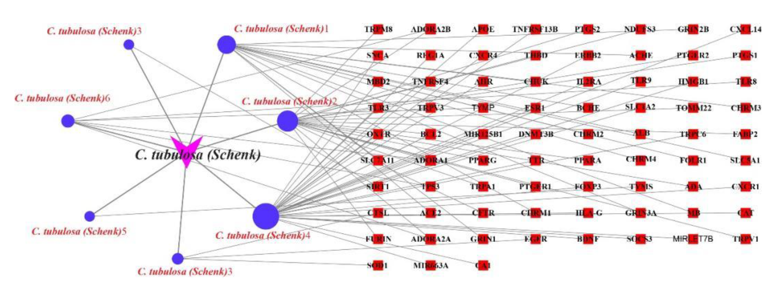 Preprints 107402 g002
