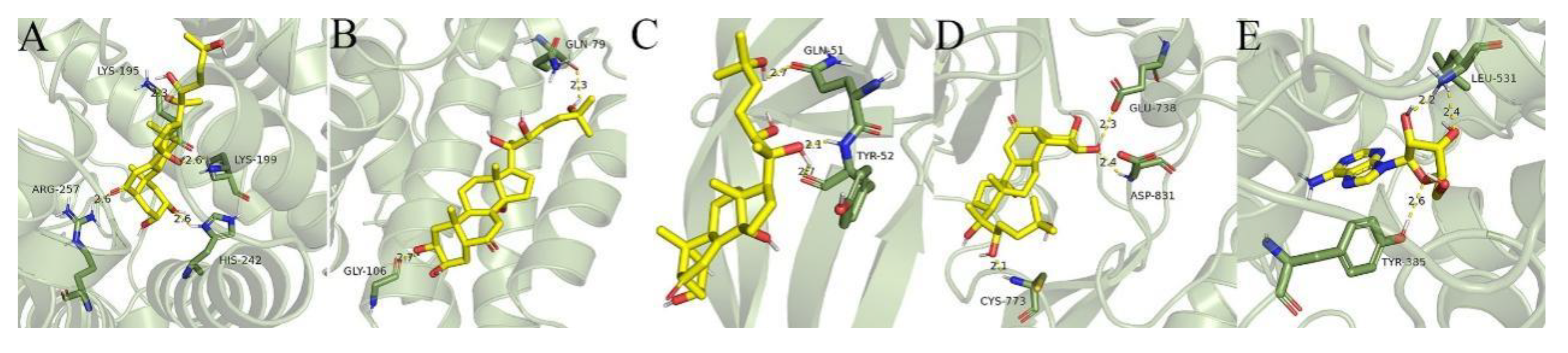 Preprints 107402 g006