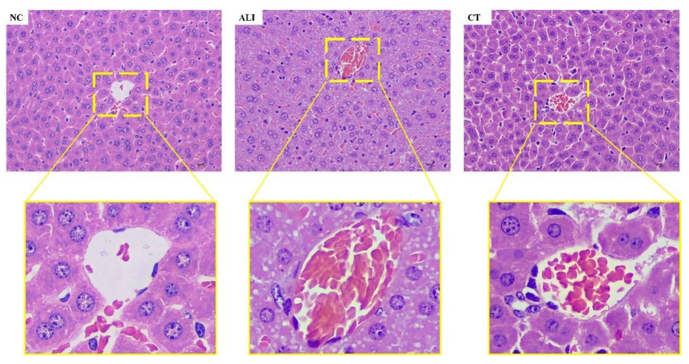 Preprints 107402 g007