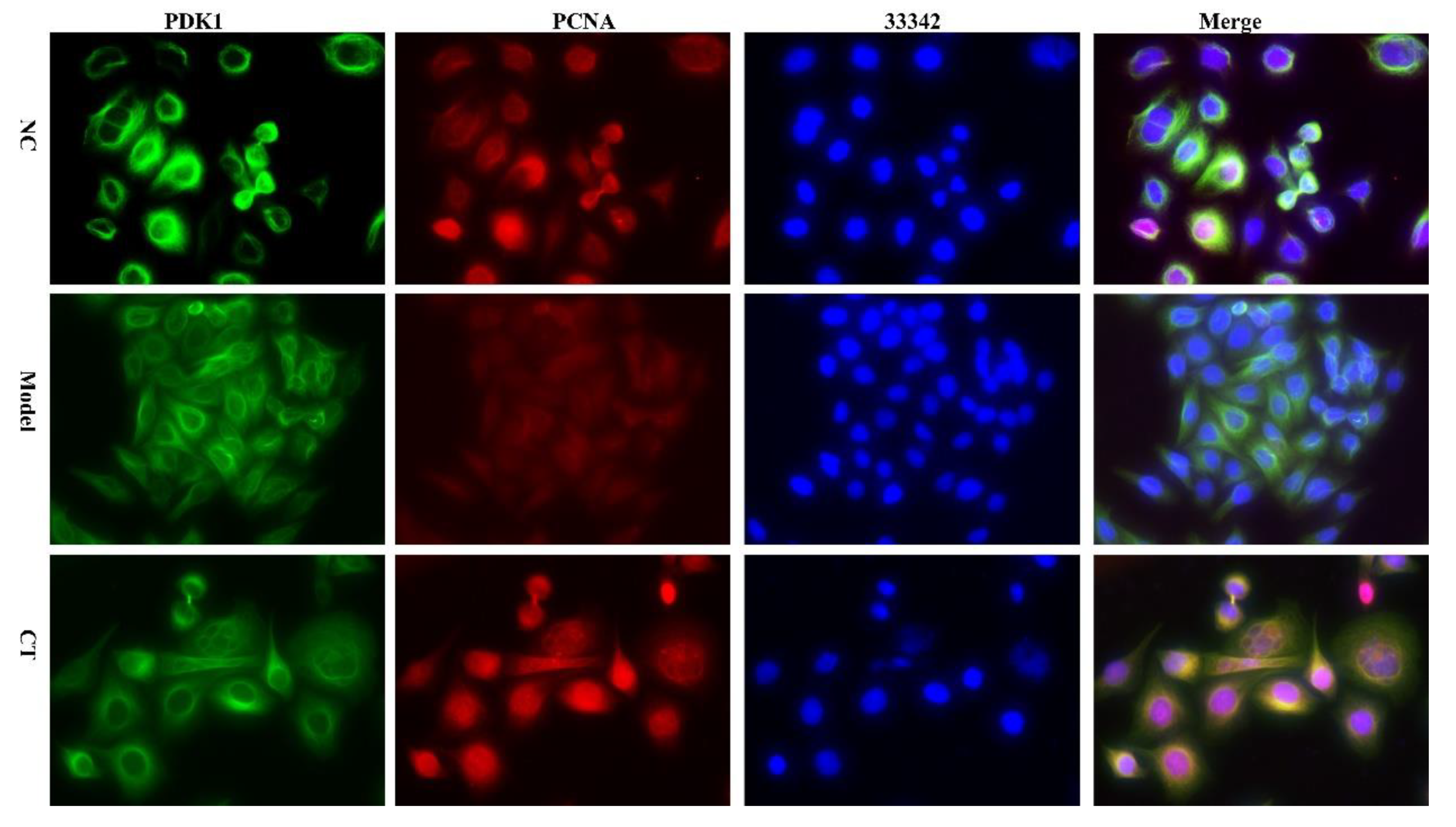 Preprints 107402 g008