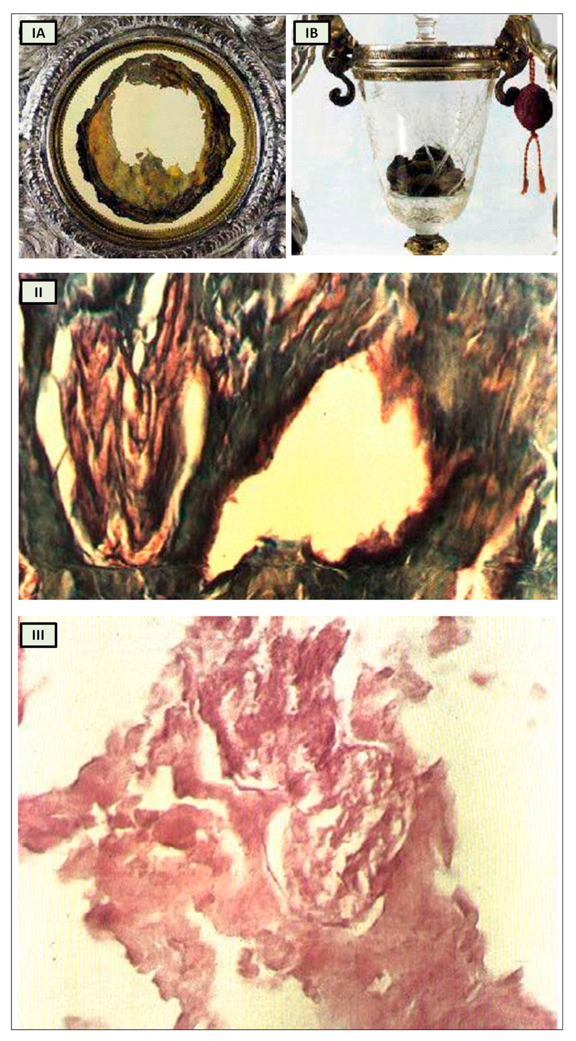 Preprints 97920 g003