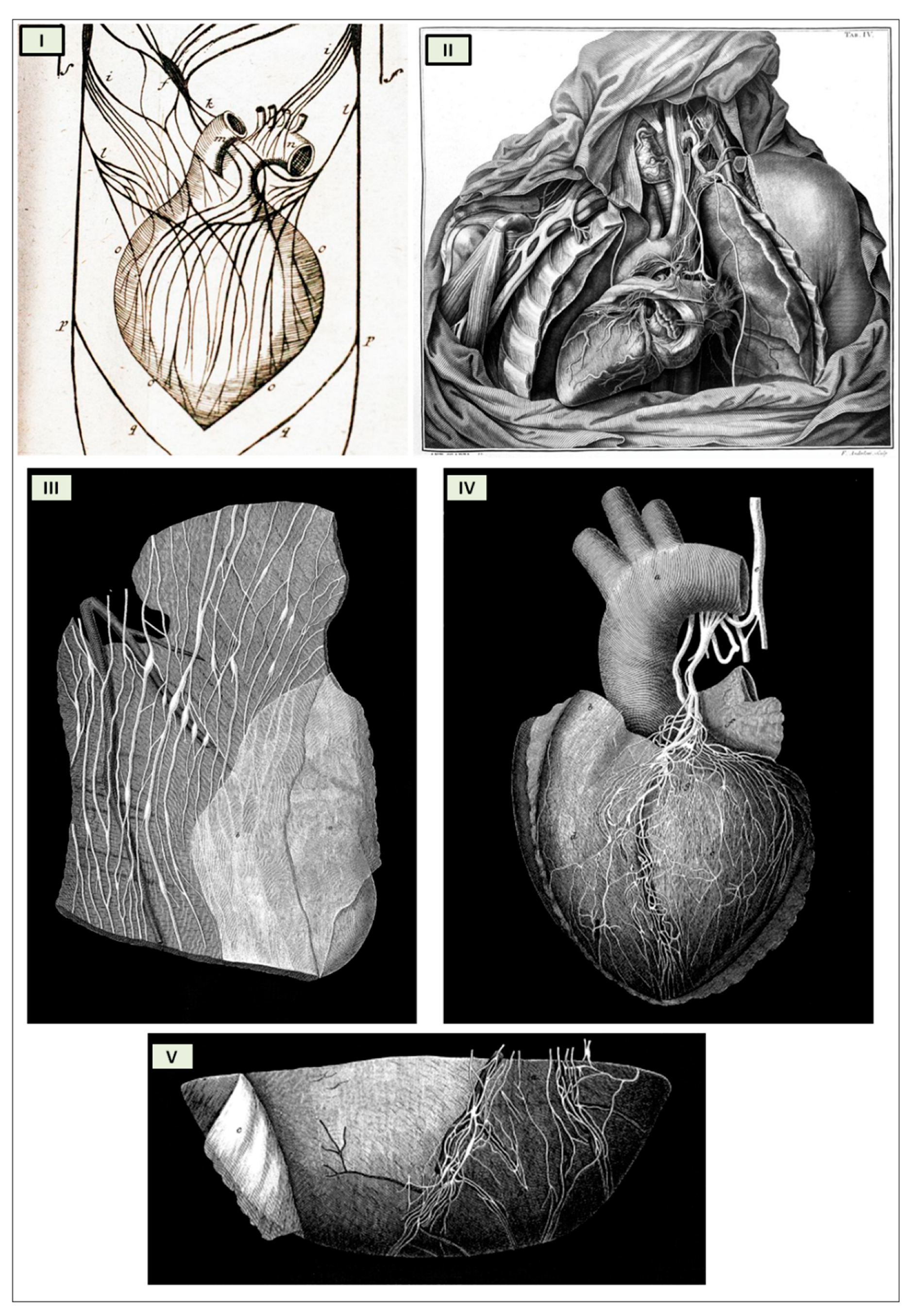 Preprints 97920 g004