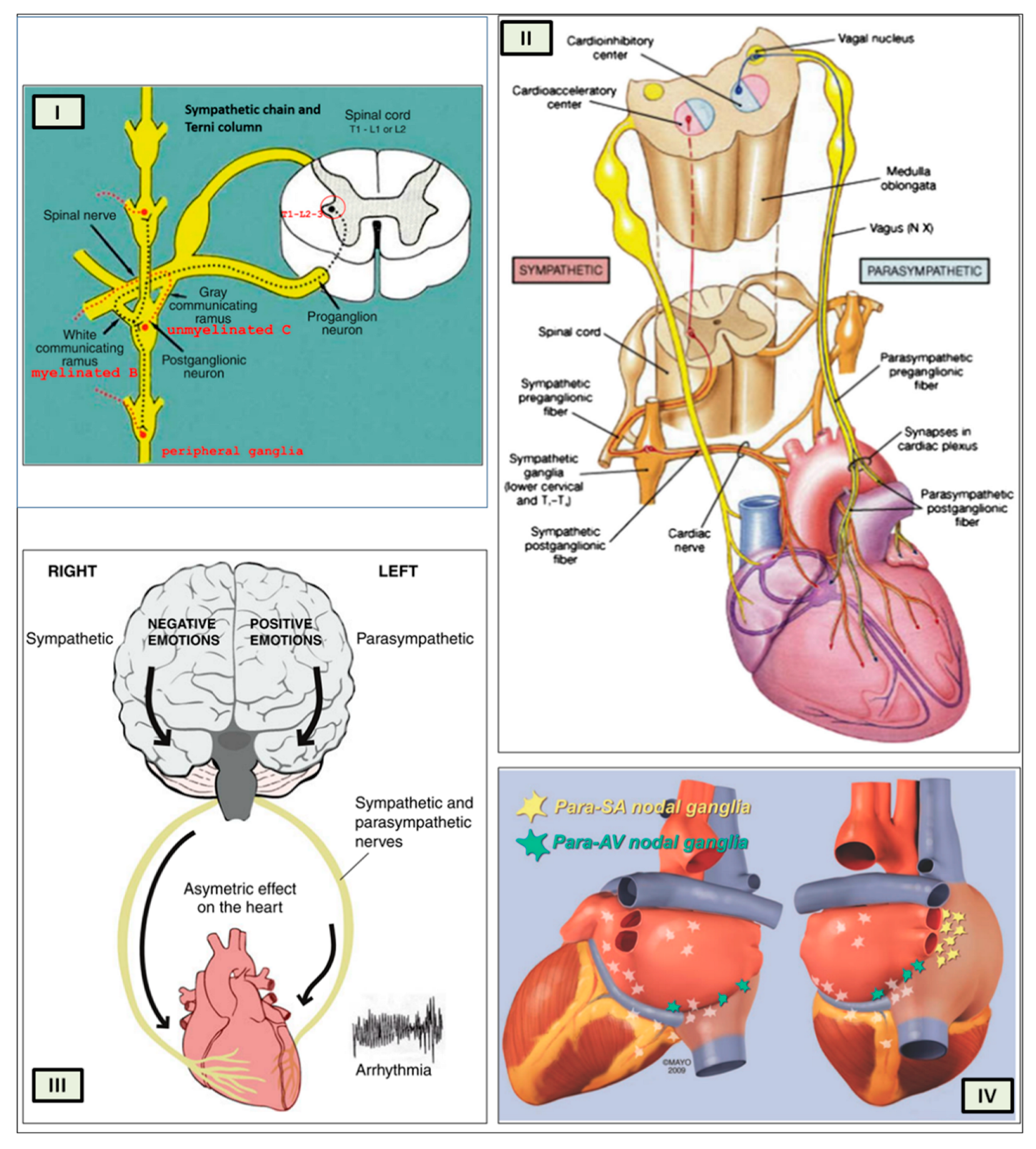 Preprints 97920 g005