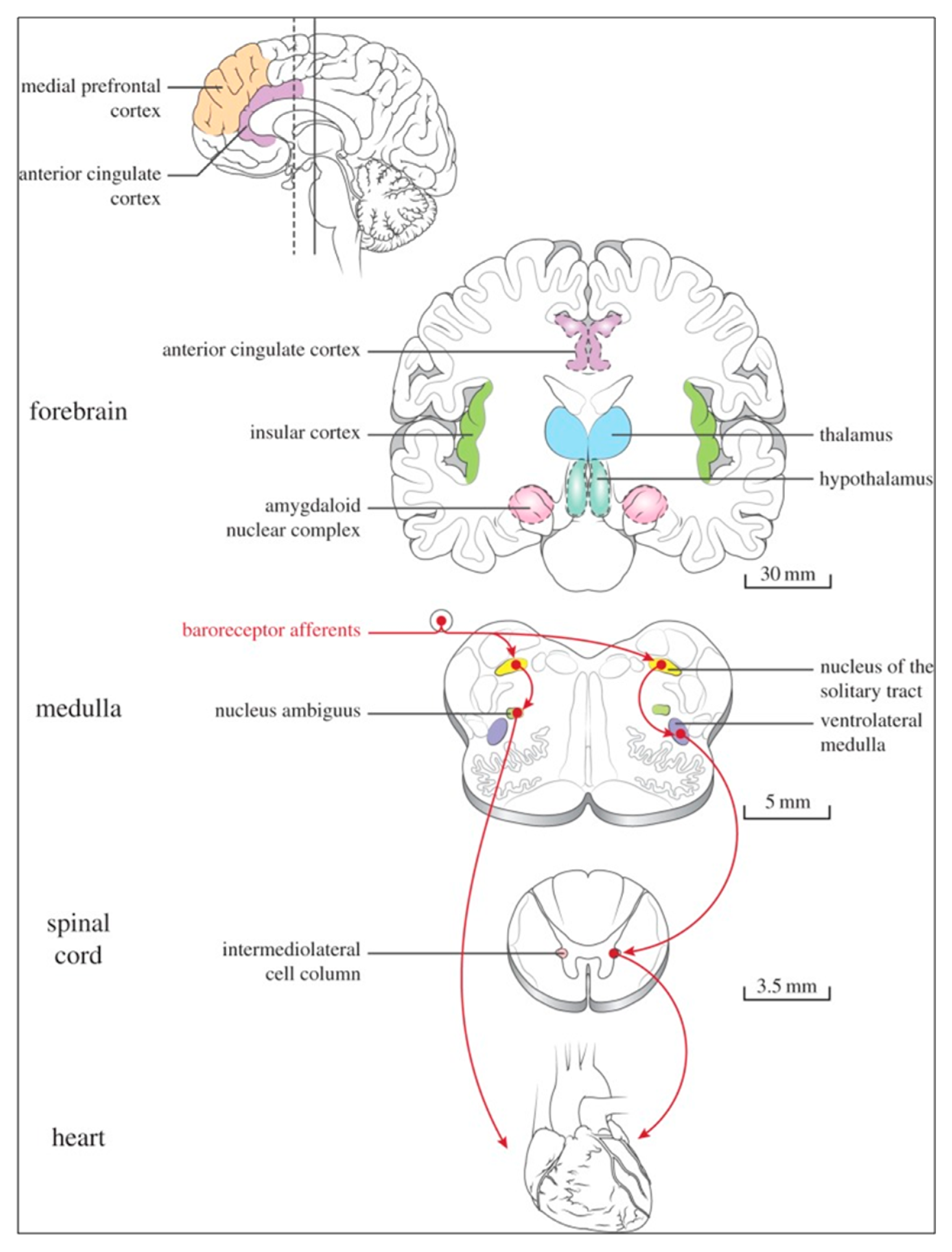 Preprints 97920 g007