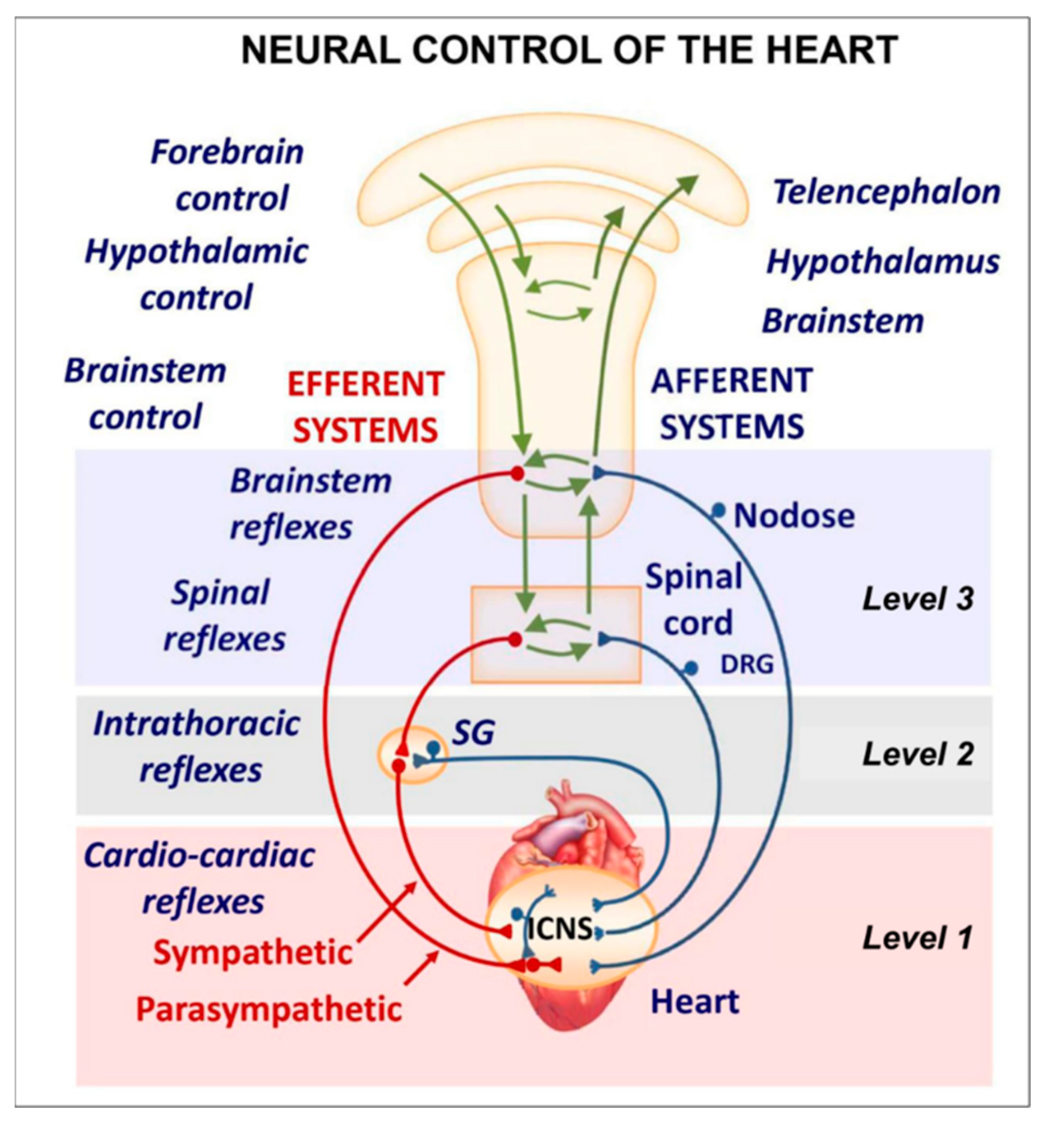 Preprints 97920 g009
