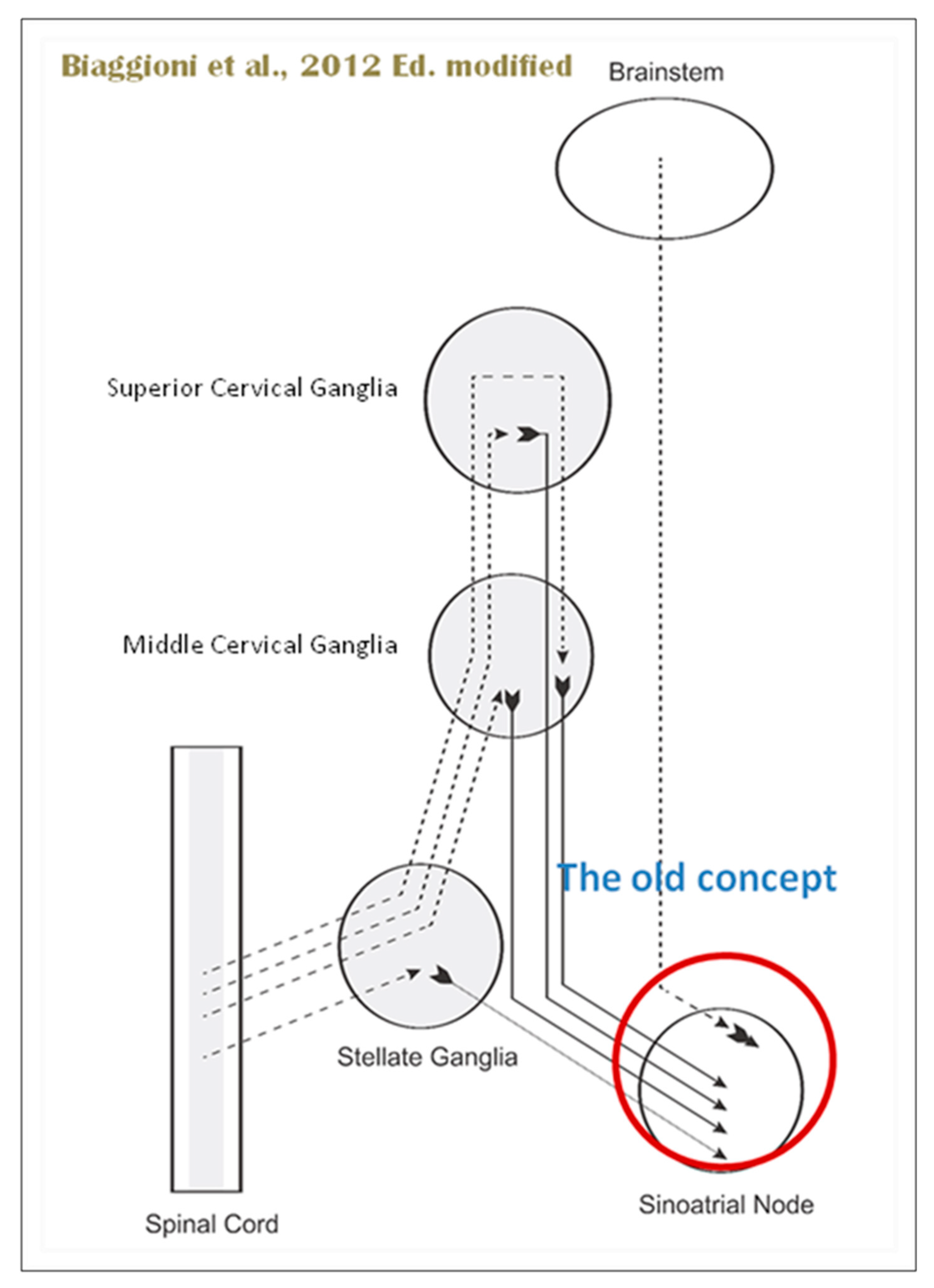 Preprints 97920 g010