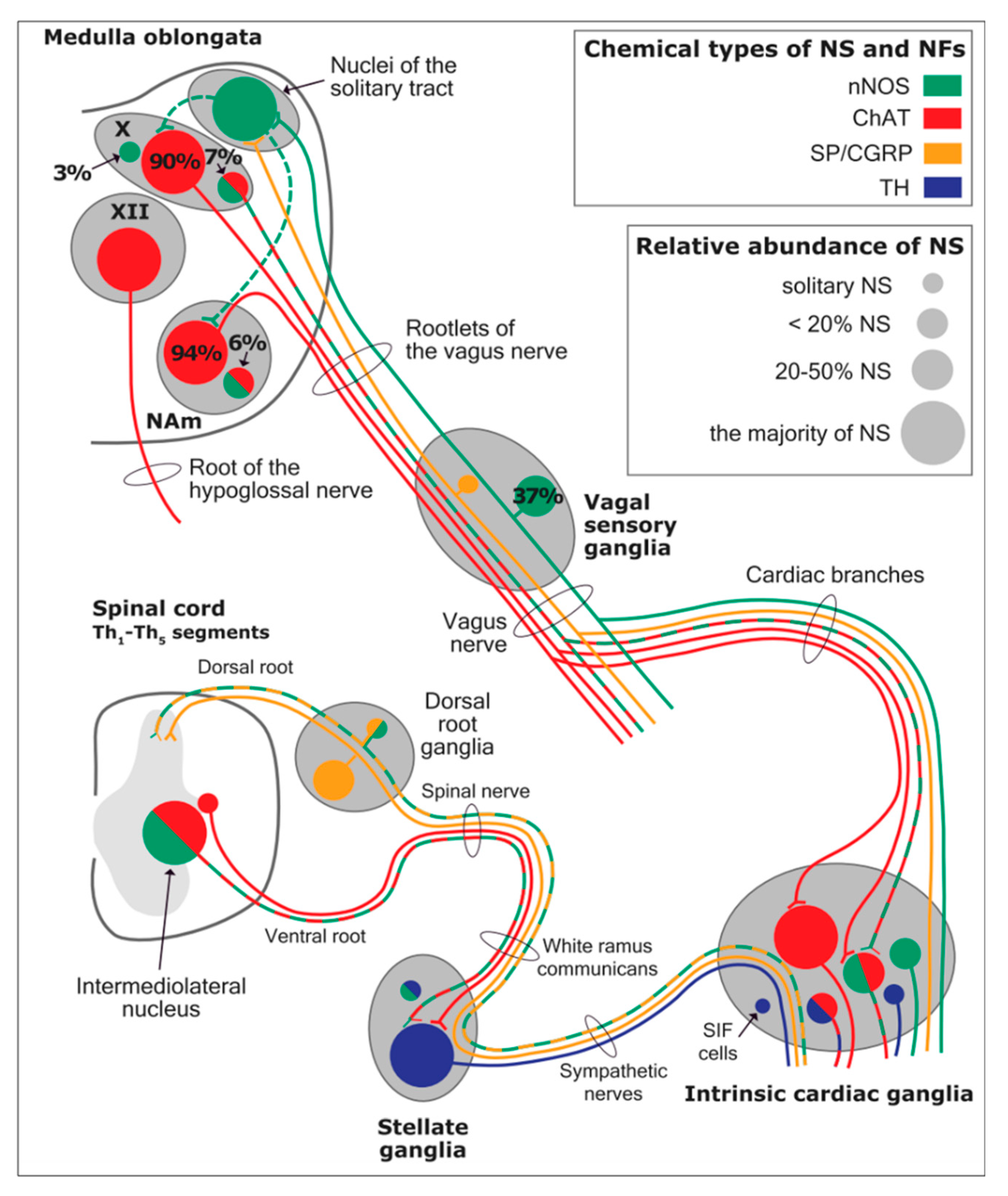 Preprints 97920 g012