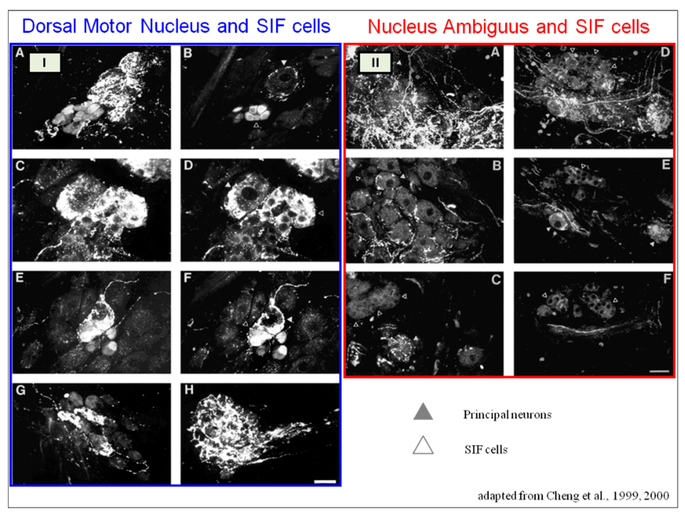 Preprints 97920 g013