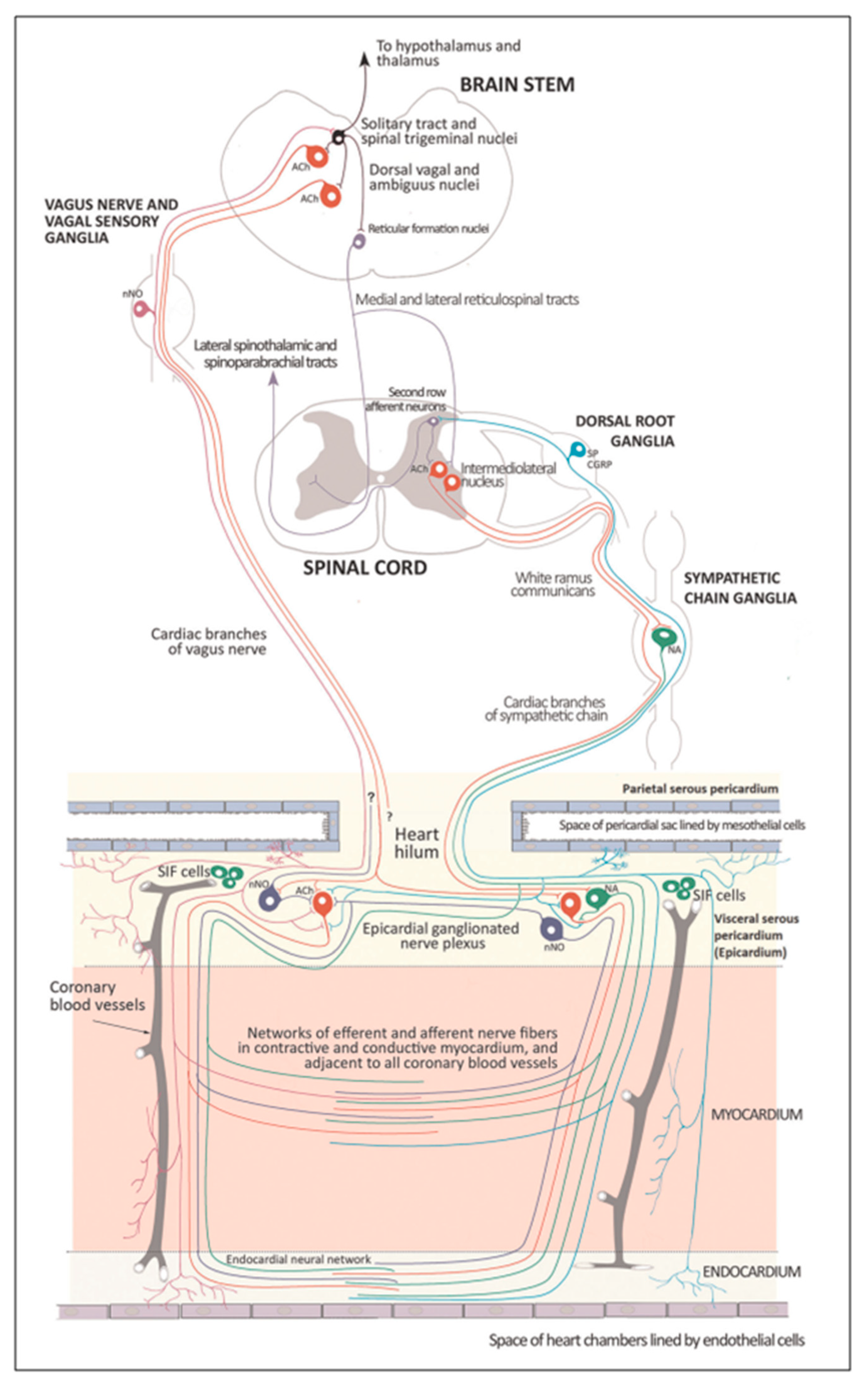 Preprints 97920 g014