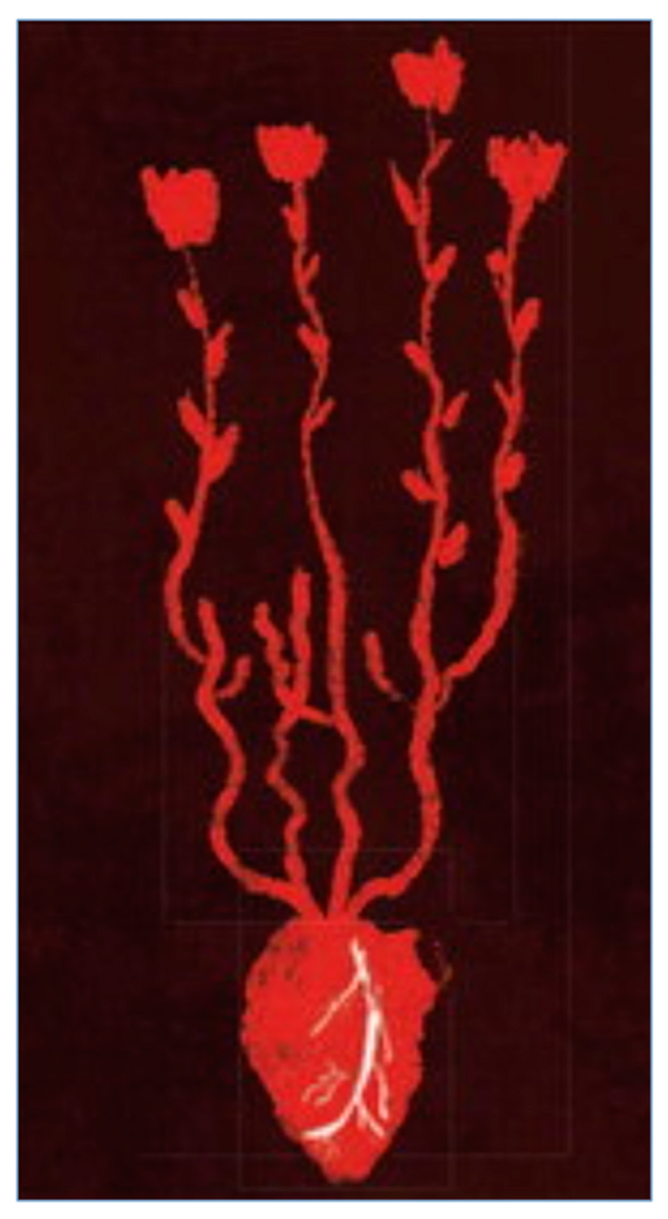 Preprints 97920 g015