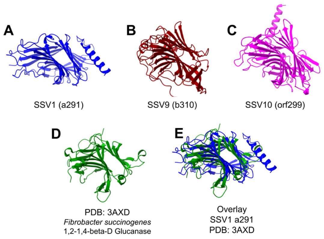 Preprints 216530 g006 Preprints 216530 g006
