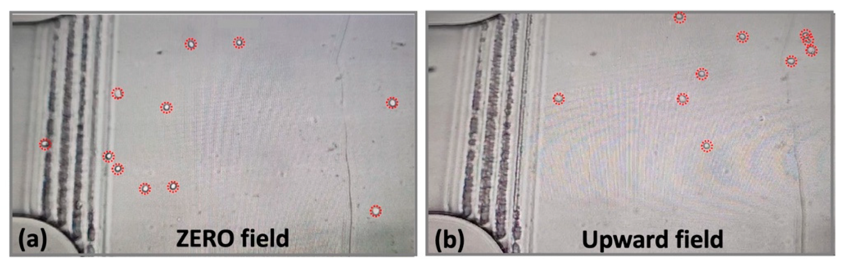 Preprints 204877 g002 Preprints 204877 g002