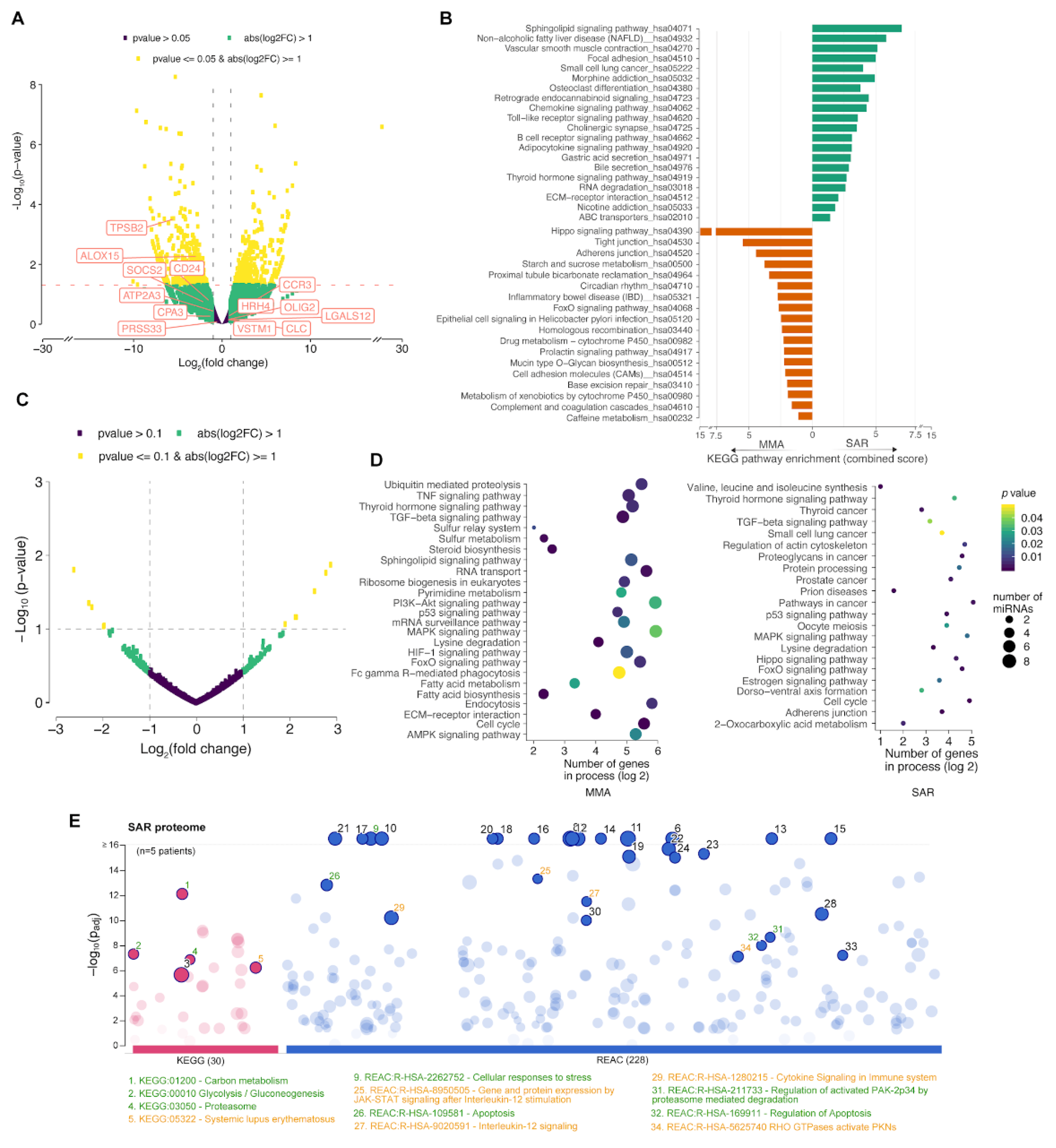 Preprints 159285 g003