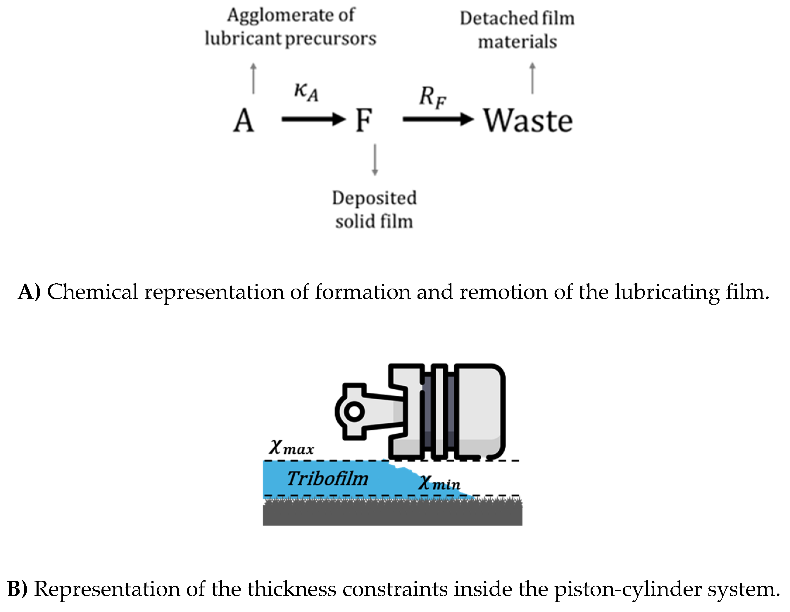 Preprints 194209 g001
