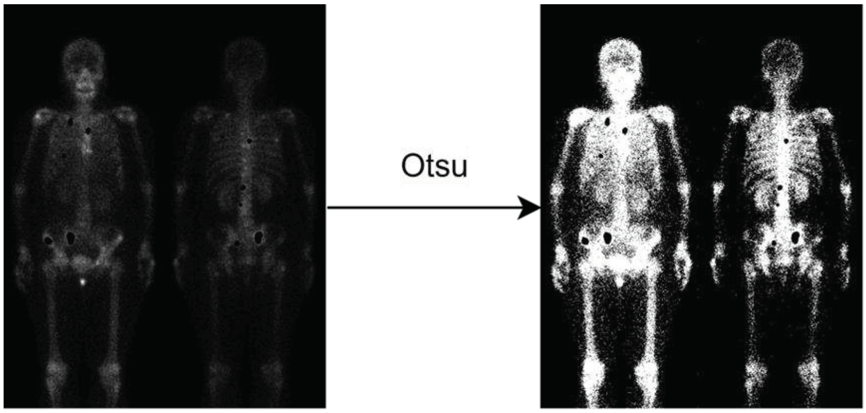 Preprints 78708 g002