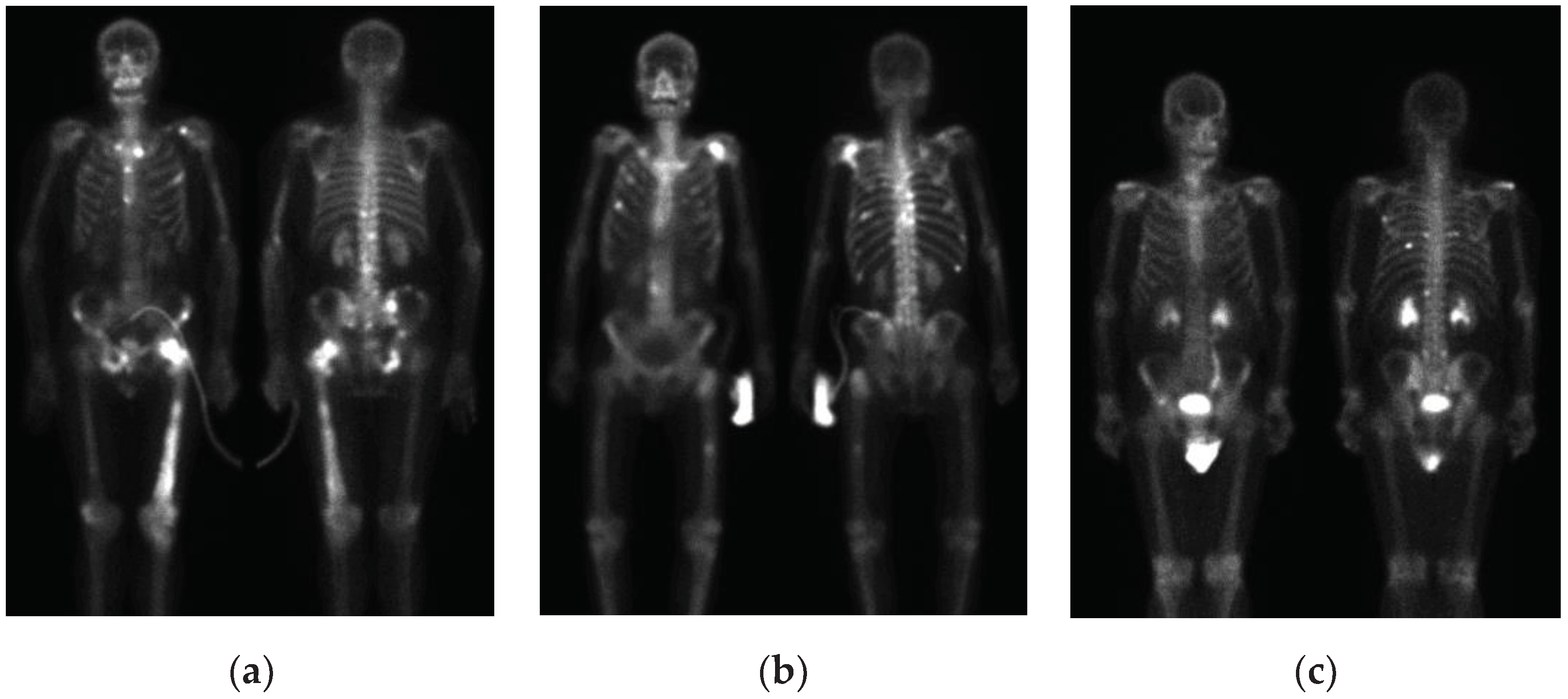 Preprints 78708 g007