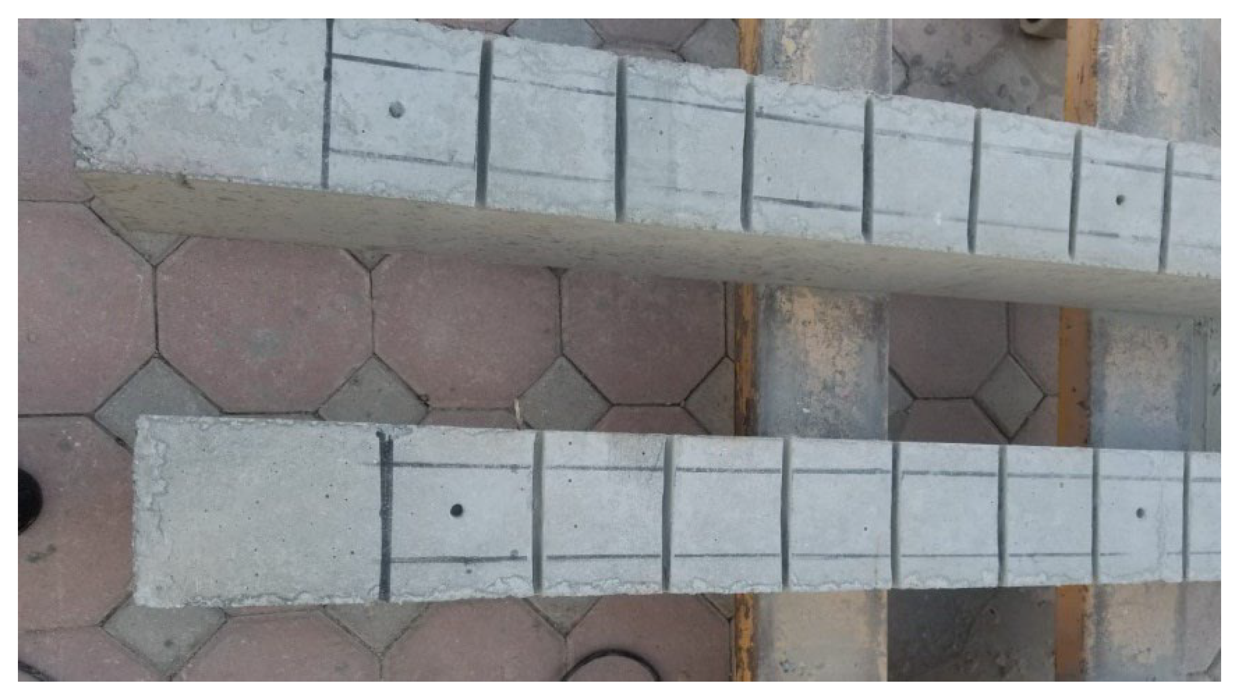 Preprints 161533 g005