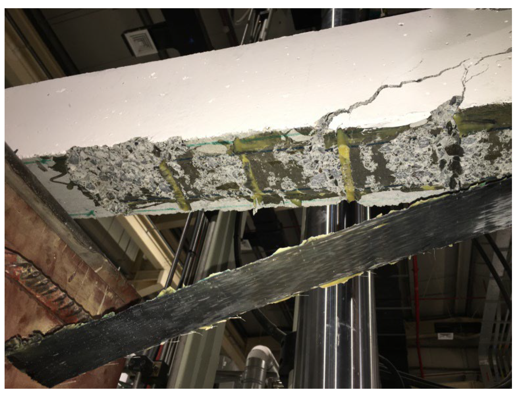 Preprints 161533 g008