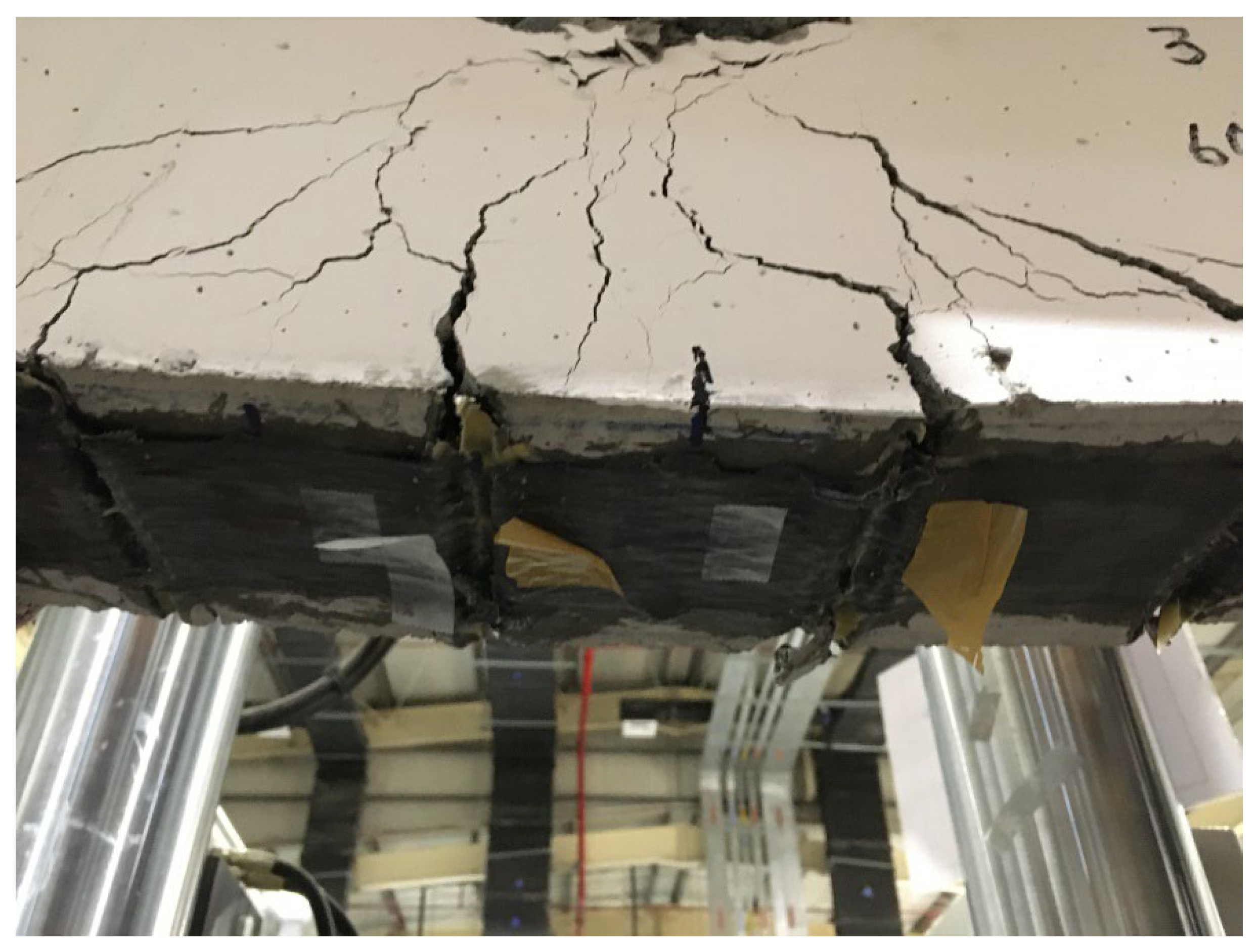 Preprints 161533 g011