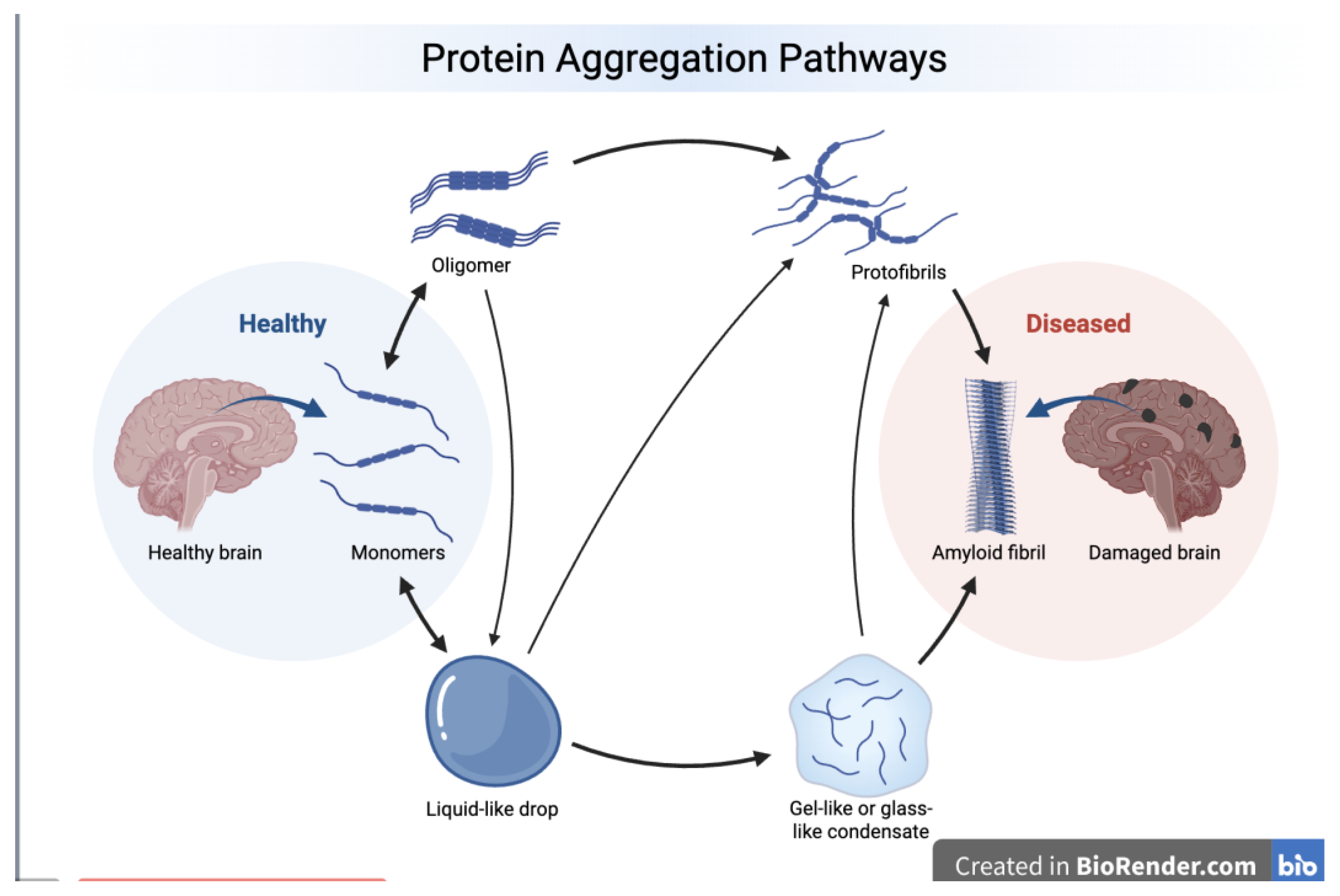 Preprints 196394 g001