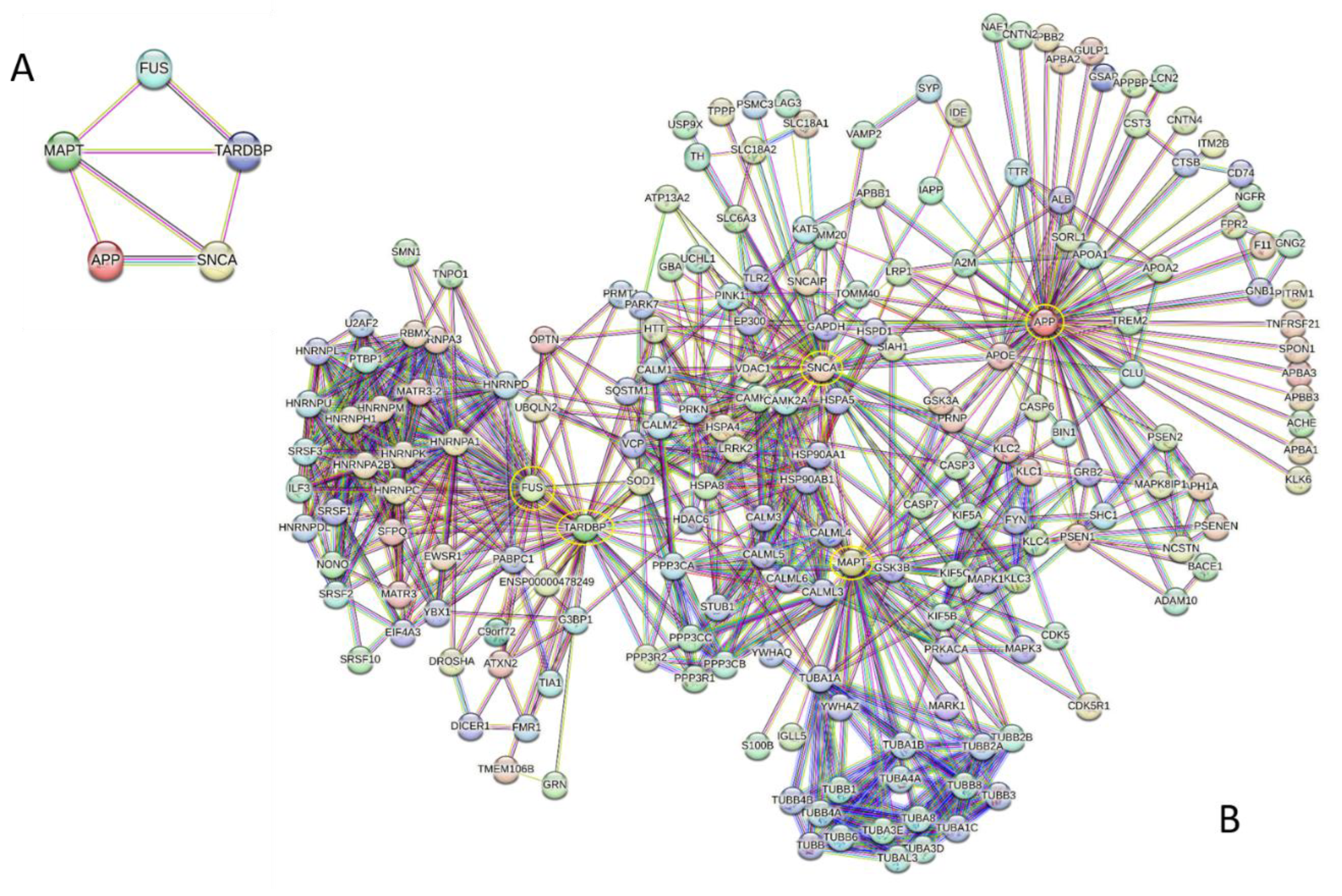 Preprints 196394 g007