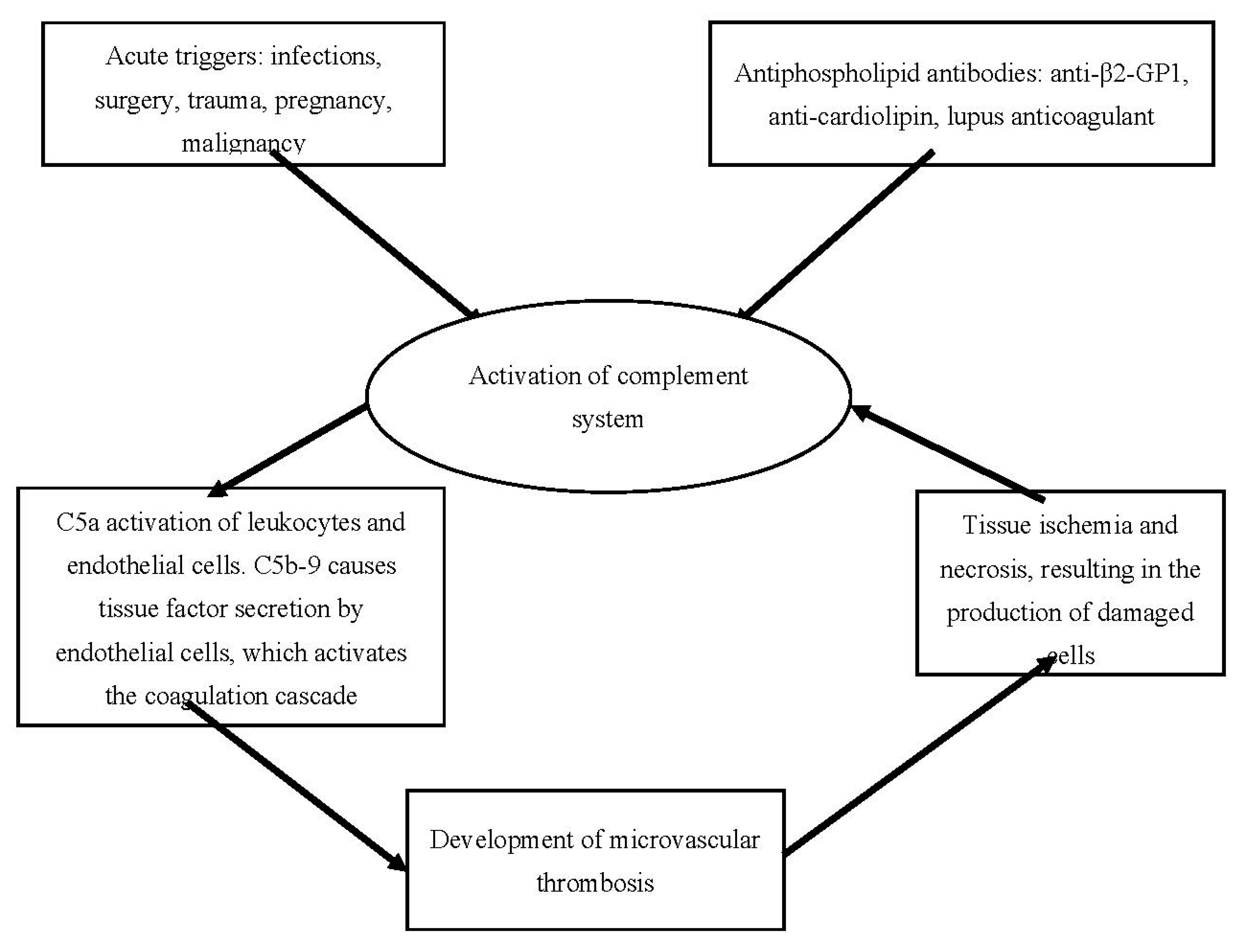 Preprints 76112 g002