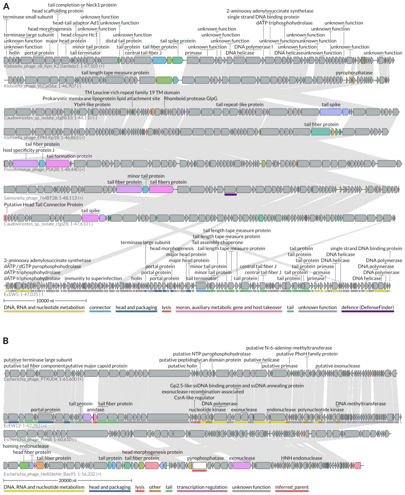 Preprints 232776 g012 Preprints 232776 g012