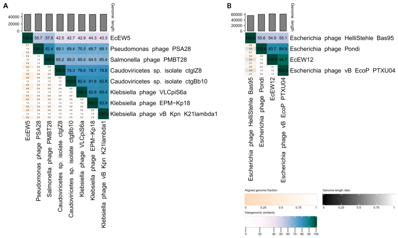 Preprints 232776 g013 Preprints 232776 g013