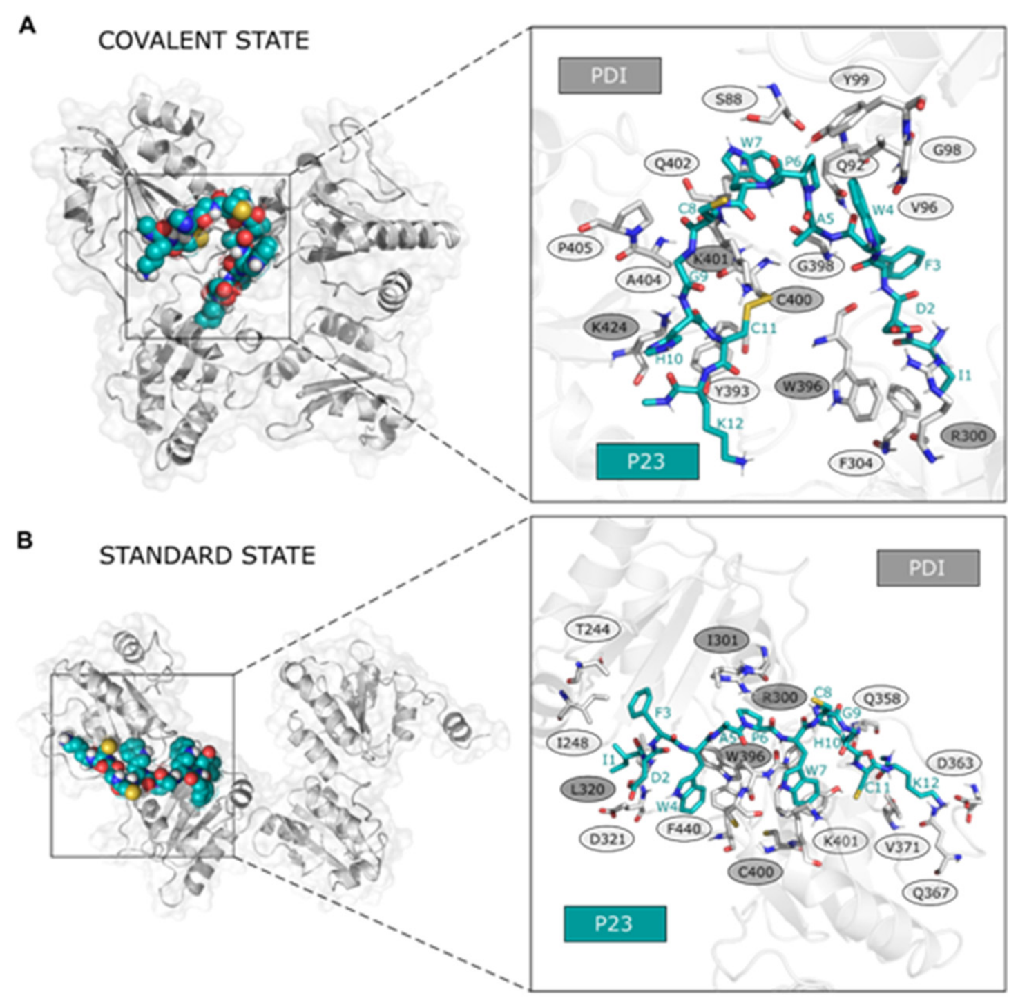 Preprints 231756 g006 Preprints 231756 g006