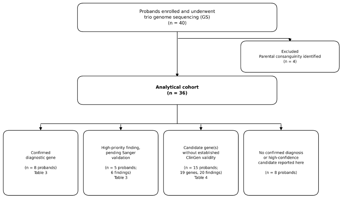 Preprints 228639 g001