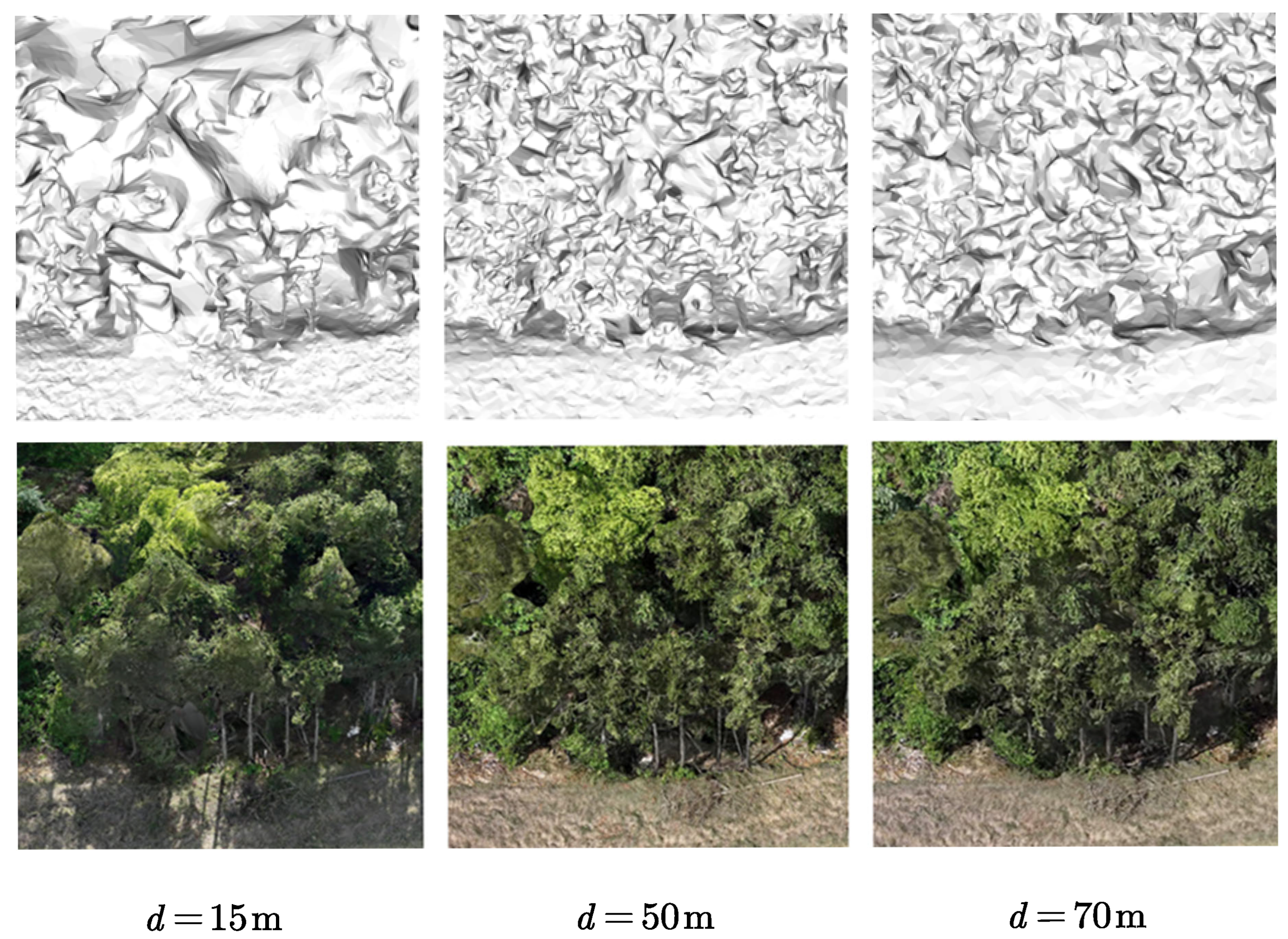 Preprints 168017 g009