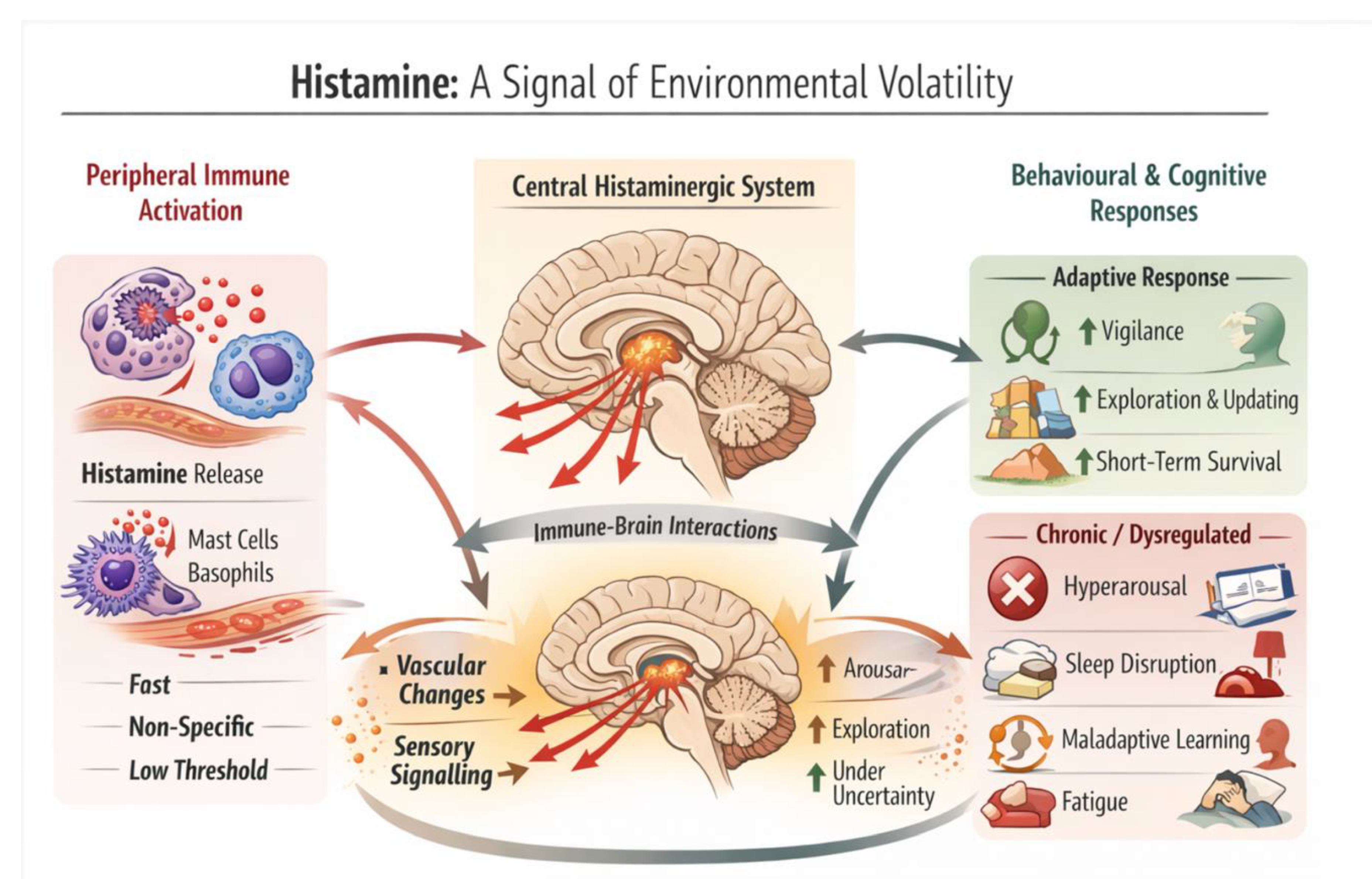 Preprints 197087 g001
