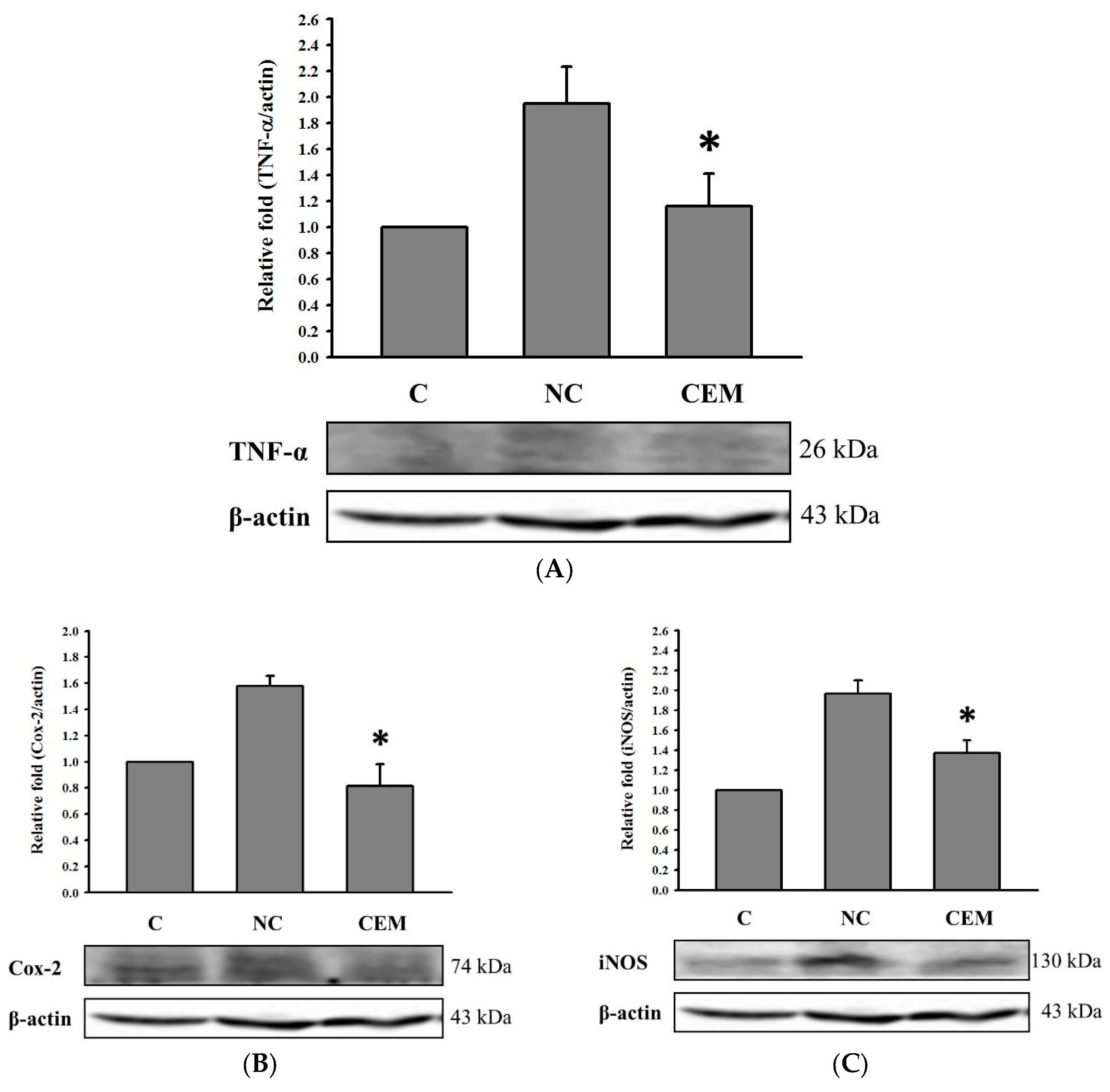 Preprints 155105 g004
