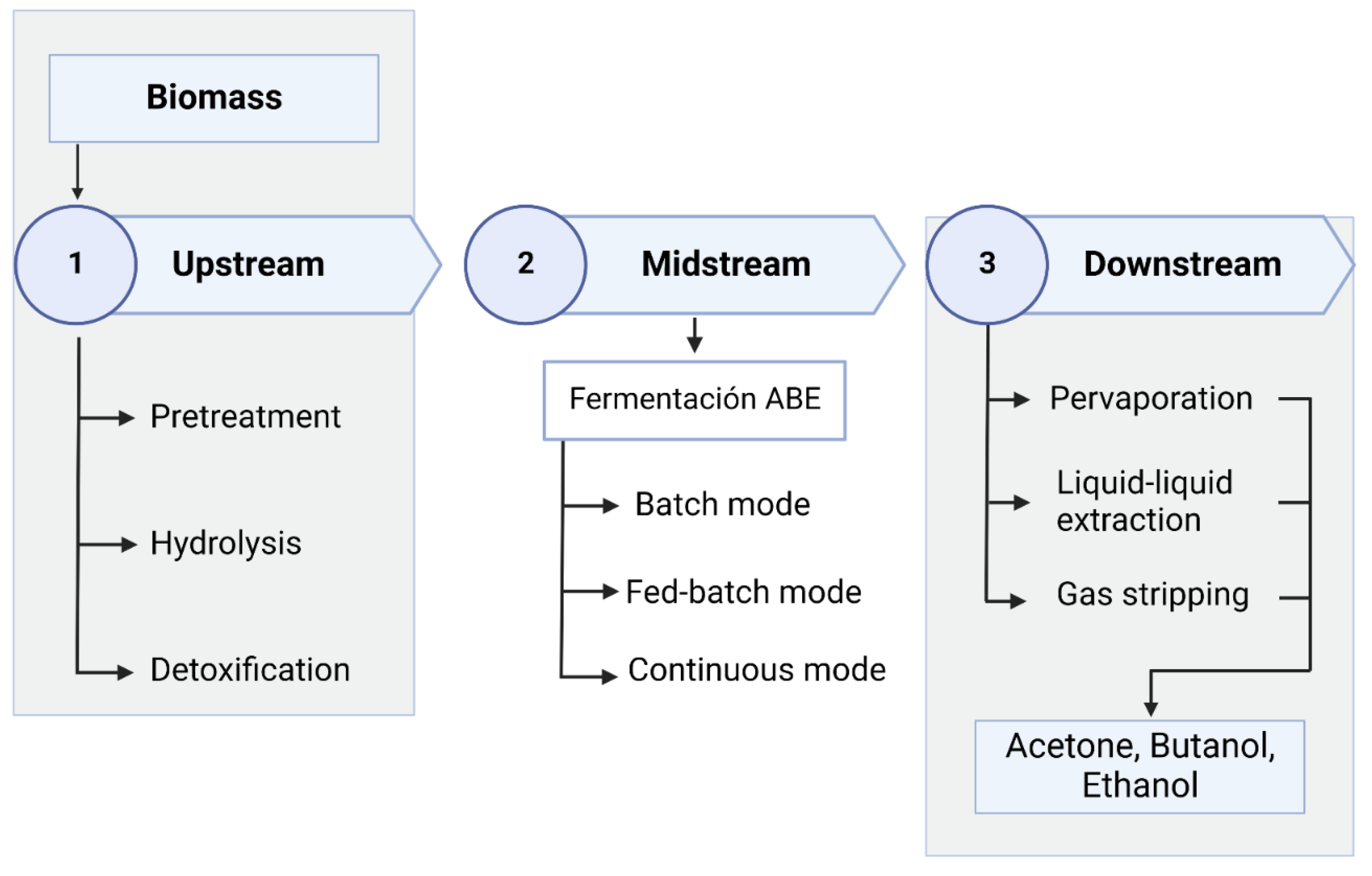 Preprints 119346 g002