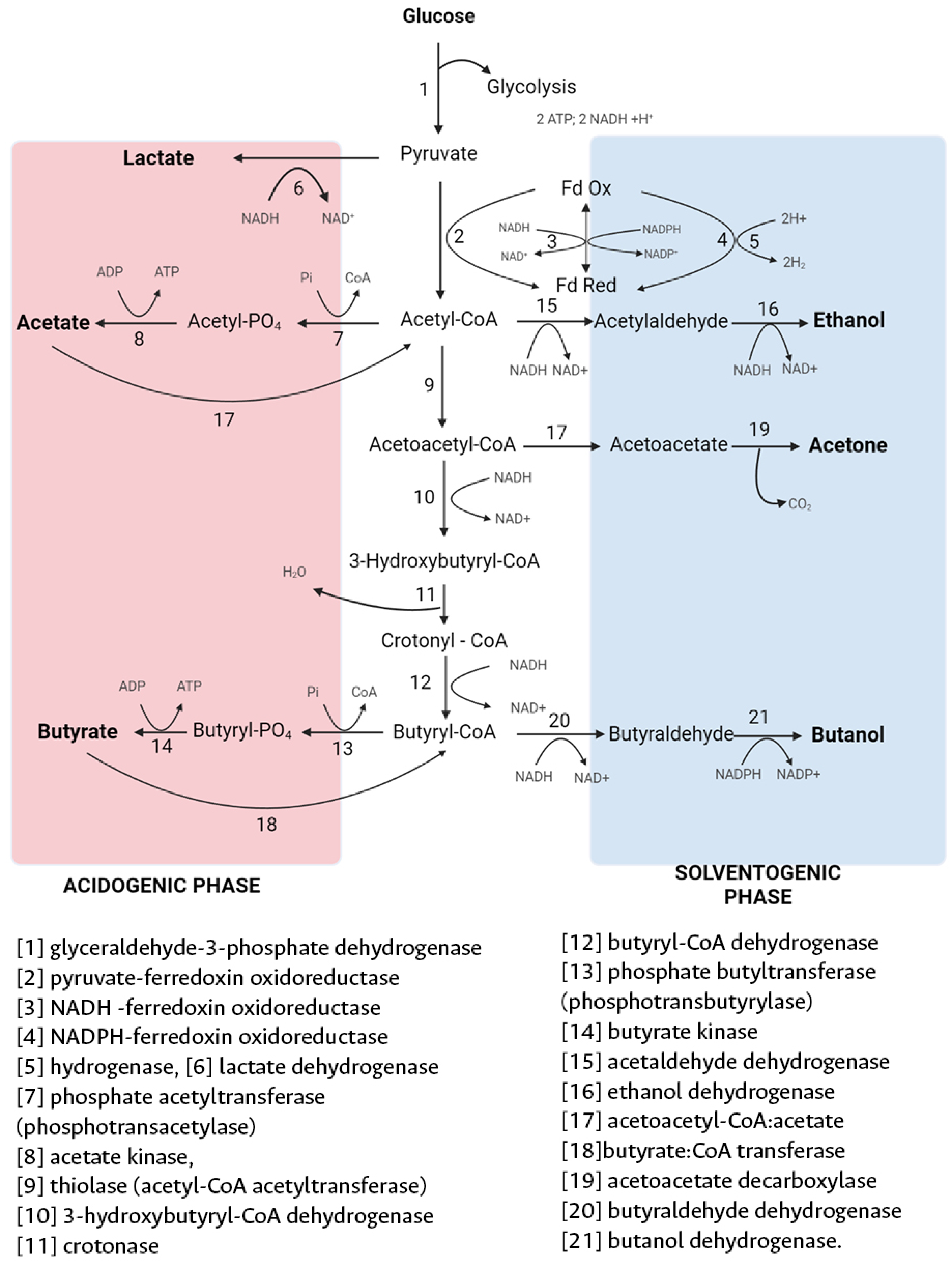 Preprints 119346 g003