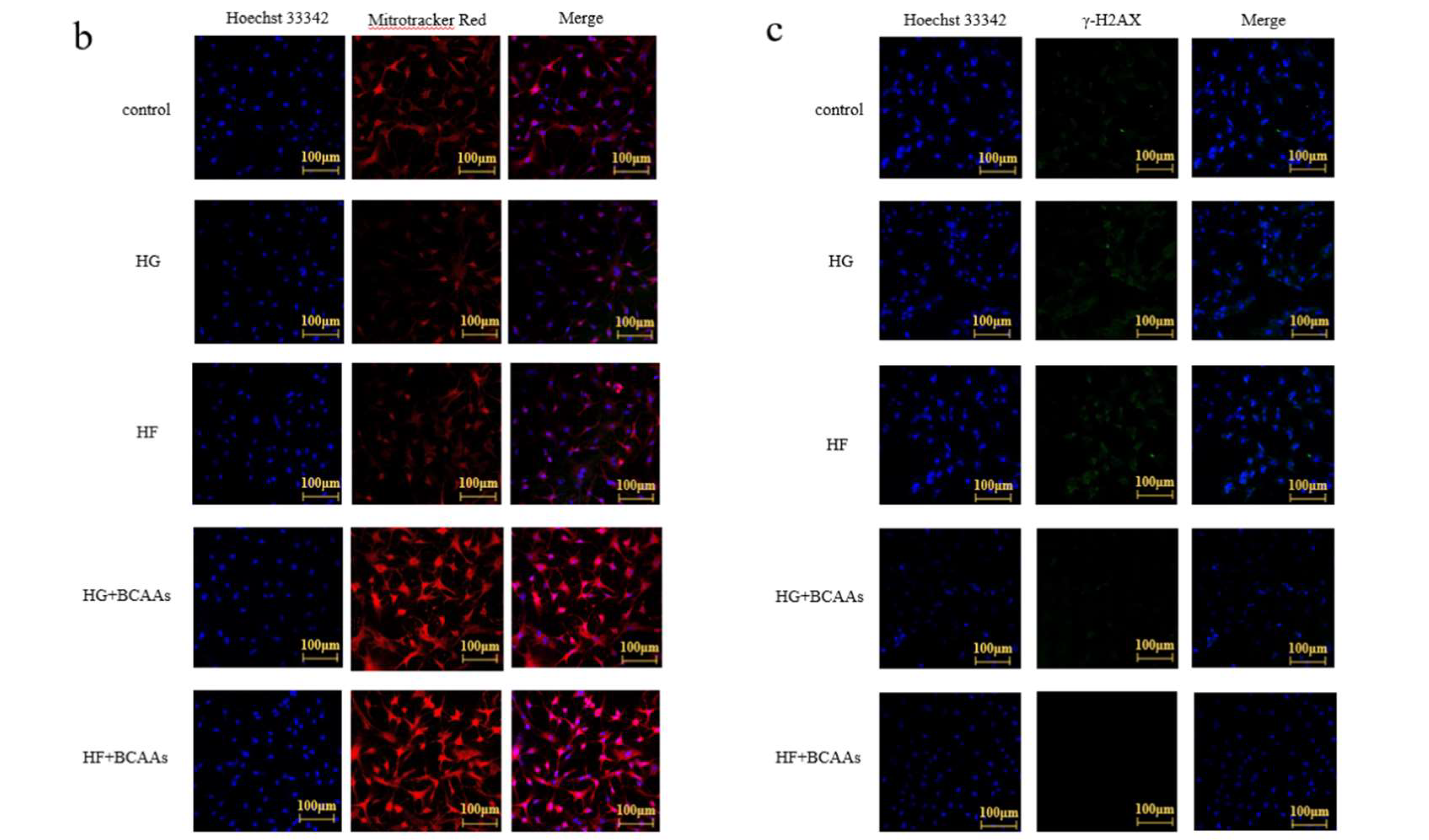 Preprints 148746 g005b