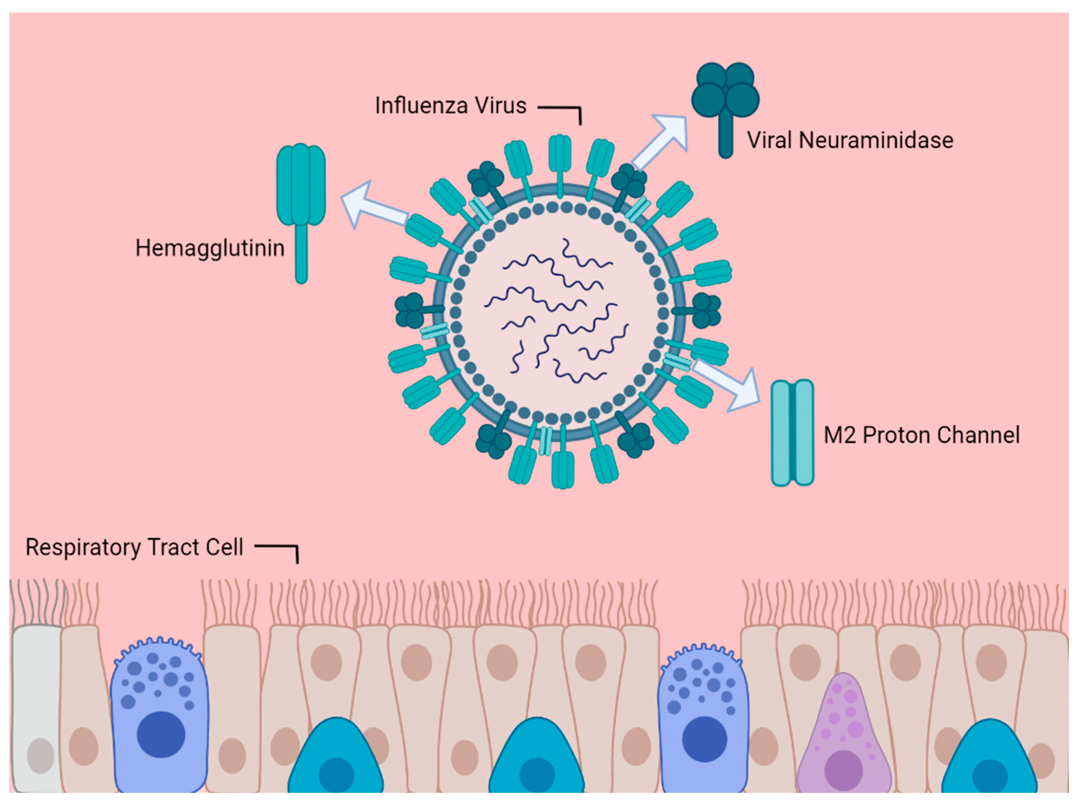 Preprints 68362 g001