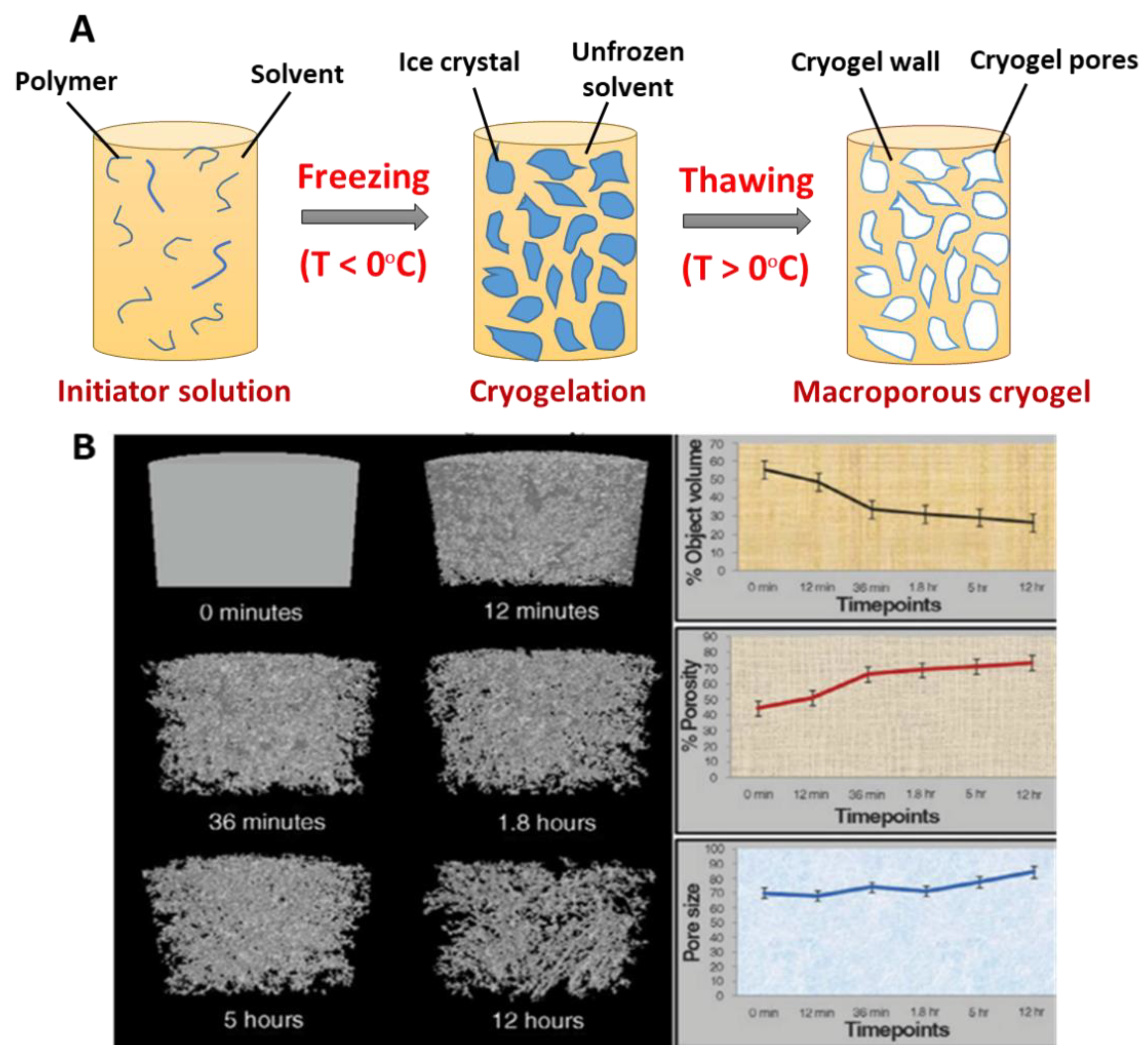 Preprints 146769 g001