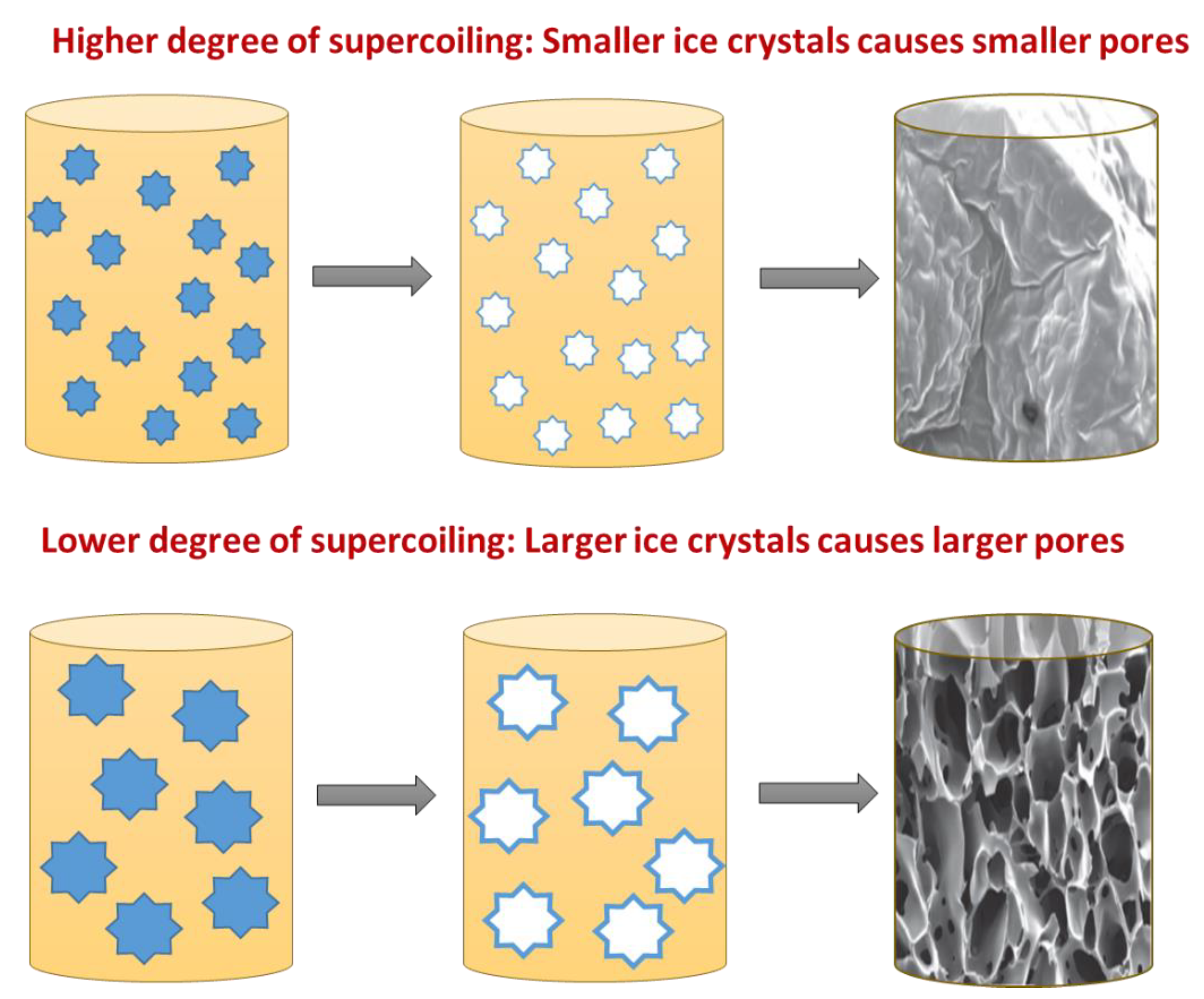 Preprints 146769 g002a
