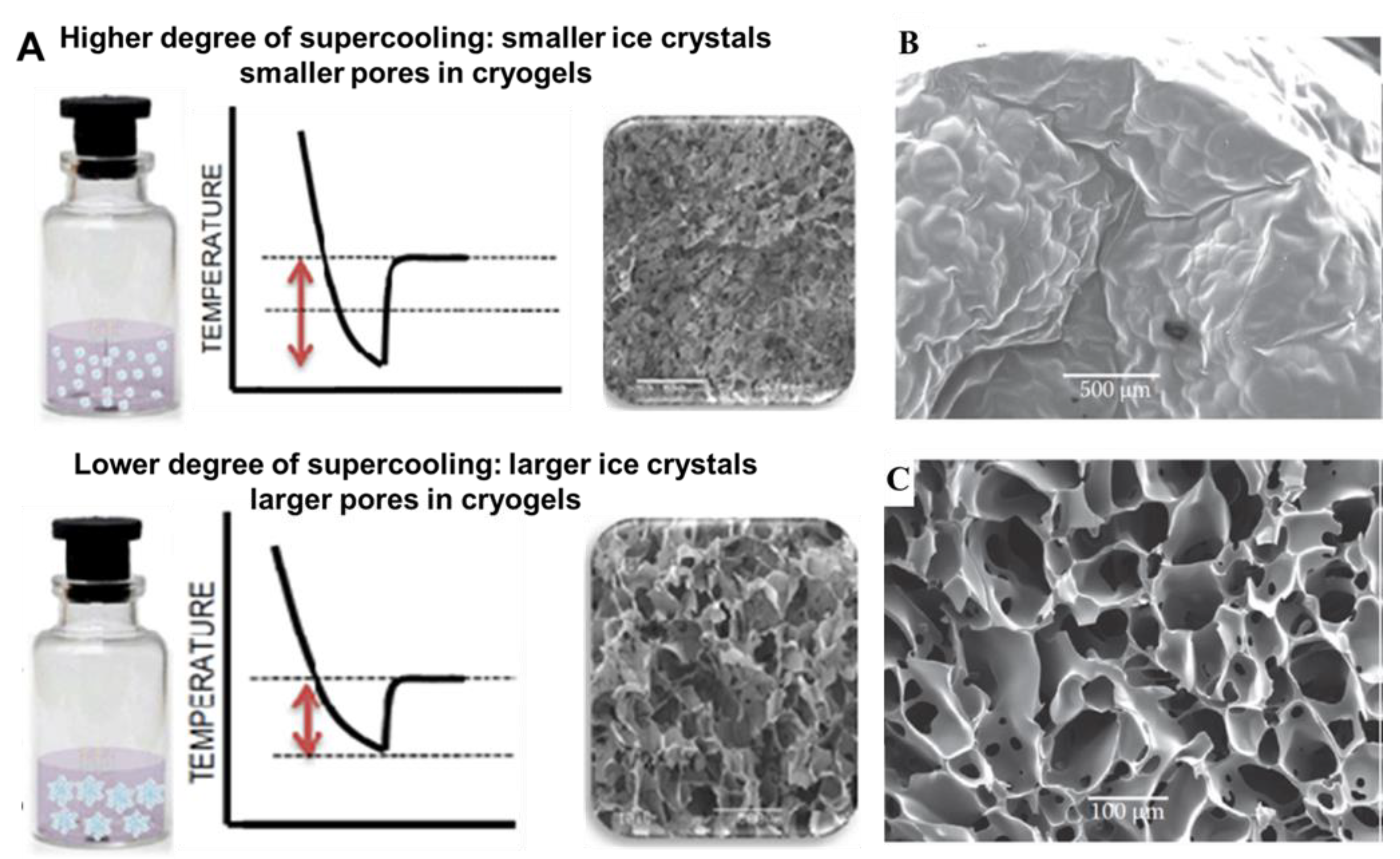 Preprints 146769 g002b