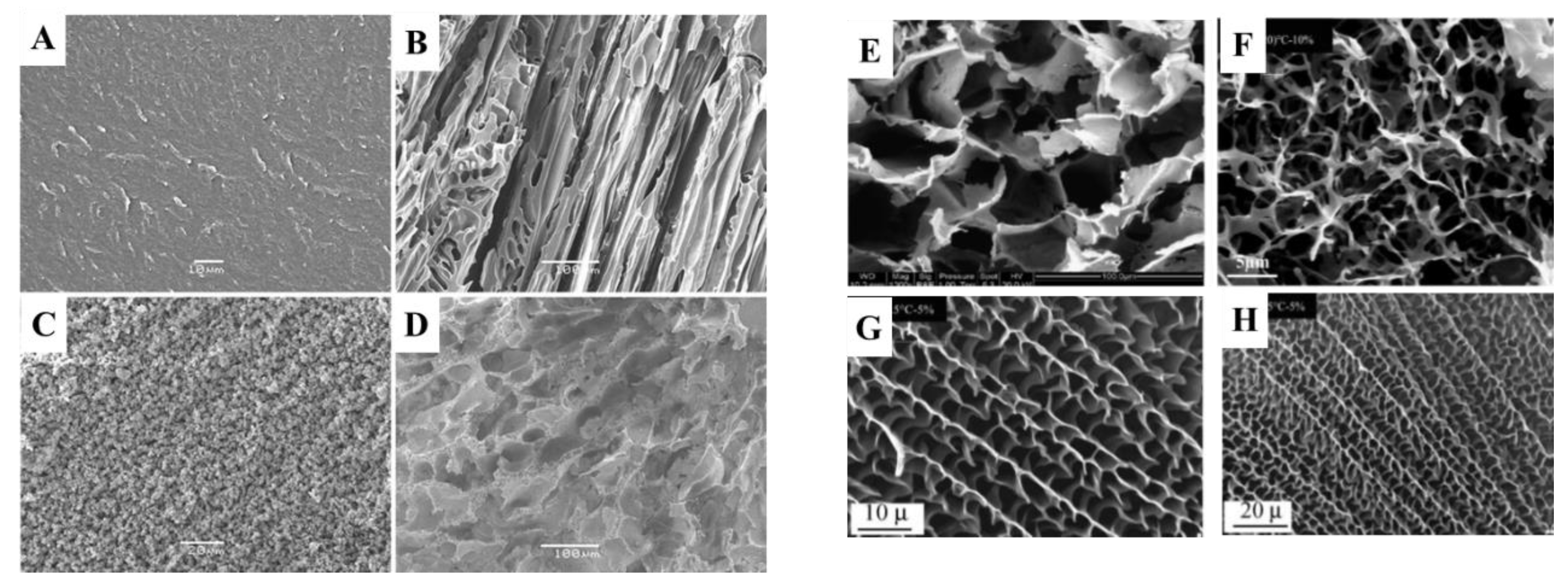 Preprints 146769 g003