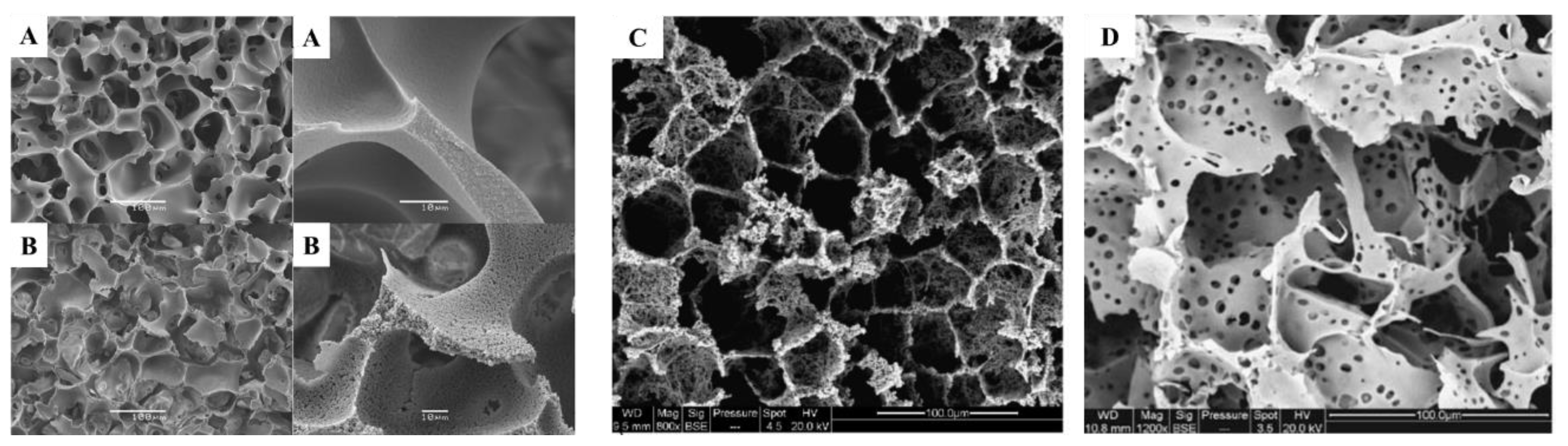 Preprints 146769 g004