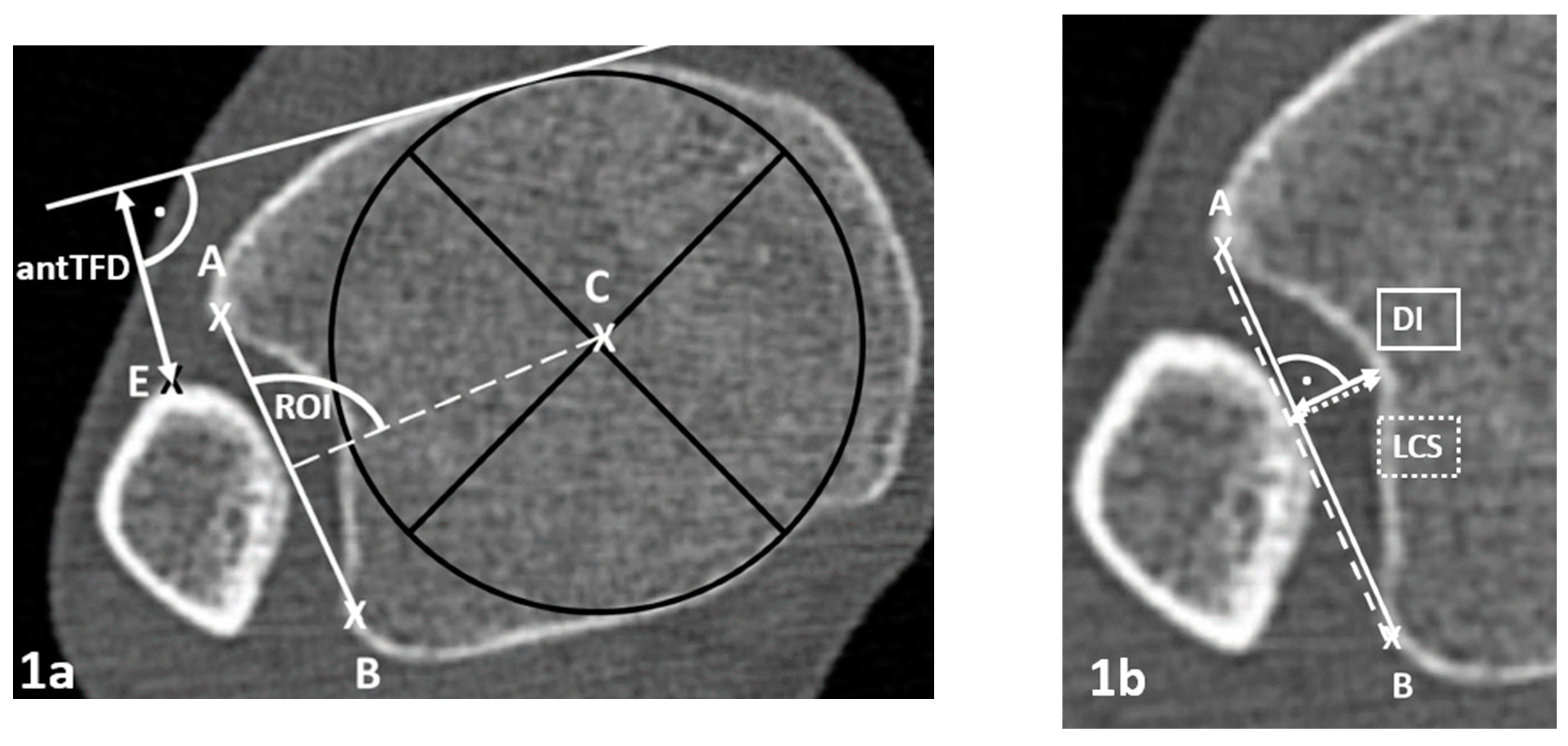 Preprints 140975 g001