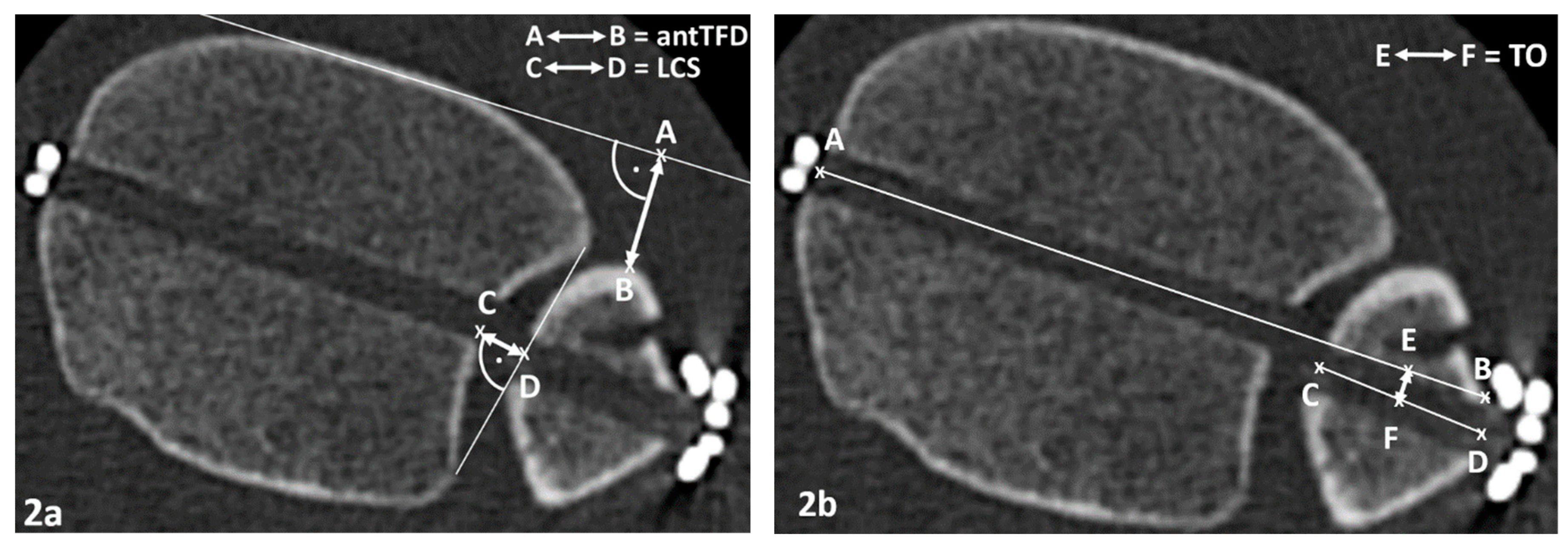 Preprints 140975 g002