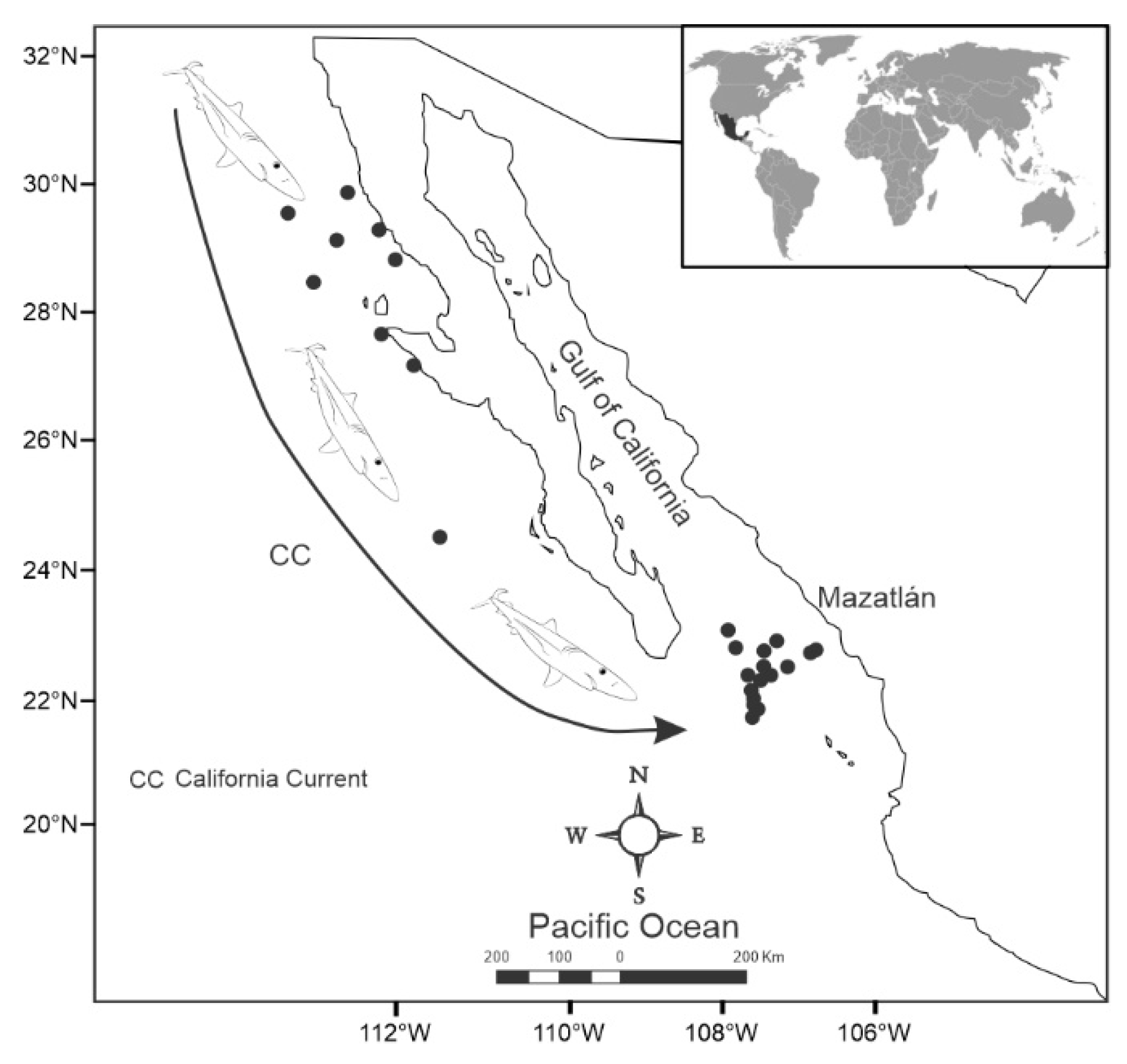Preprints 157311 g001