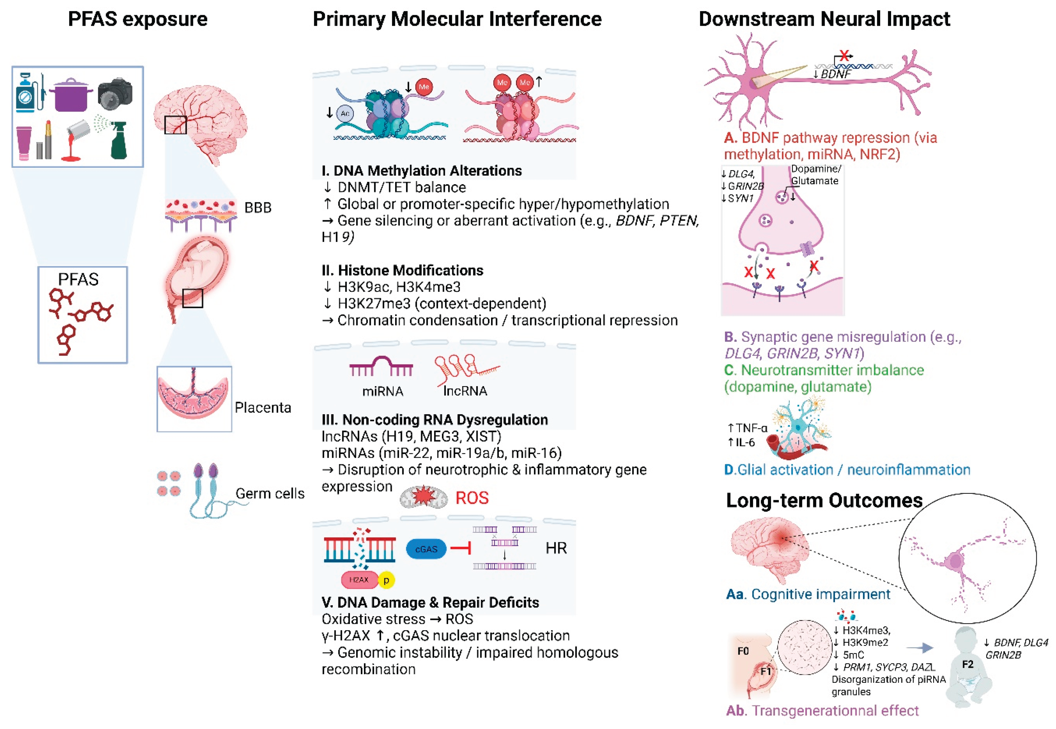 Preprints 164236 g001