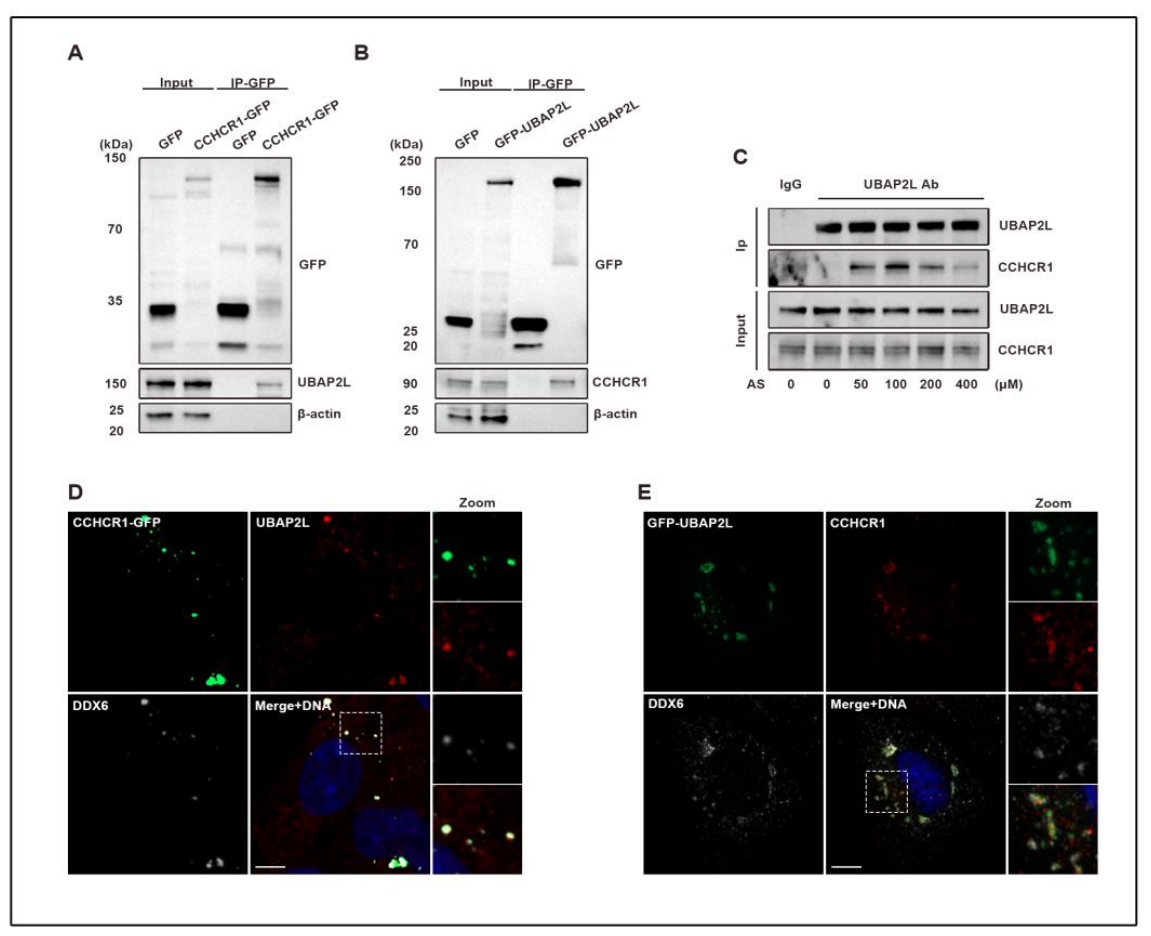 Preprints 221087 g001