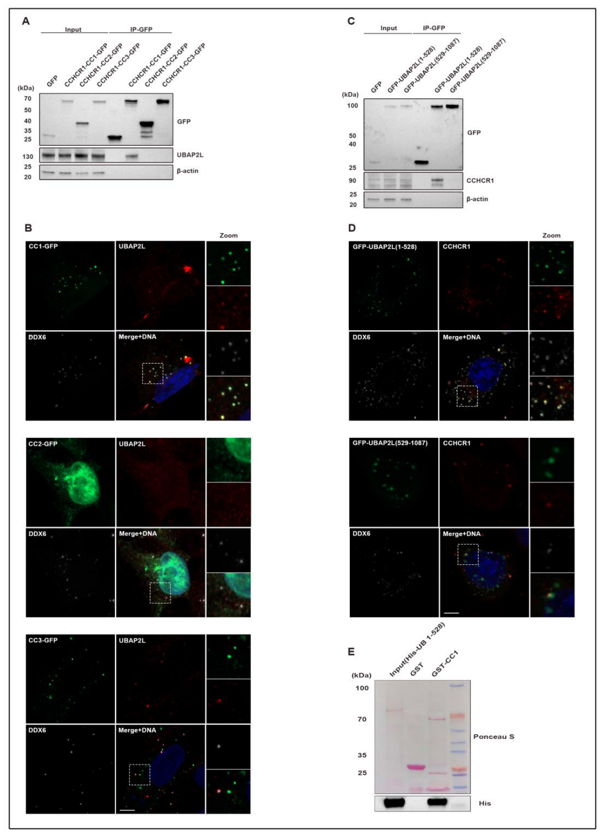 Preprints 221087 g002