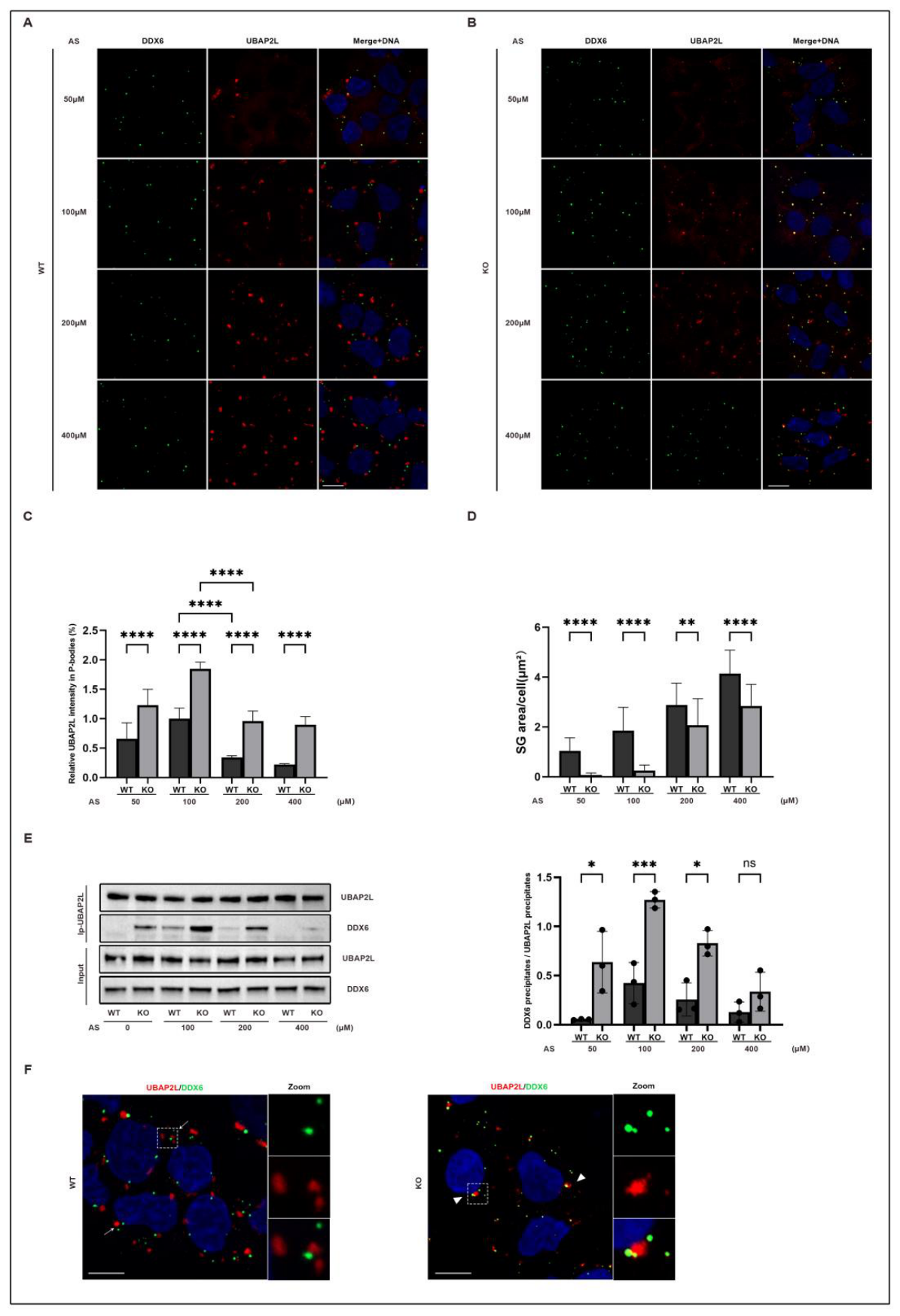 Preprints 221087 g003